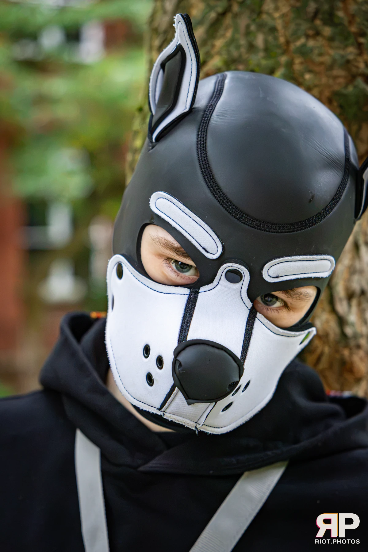Doggy Weekend 2026 - 18 Oct 2026, Fluffy Riot photography - photo 593