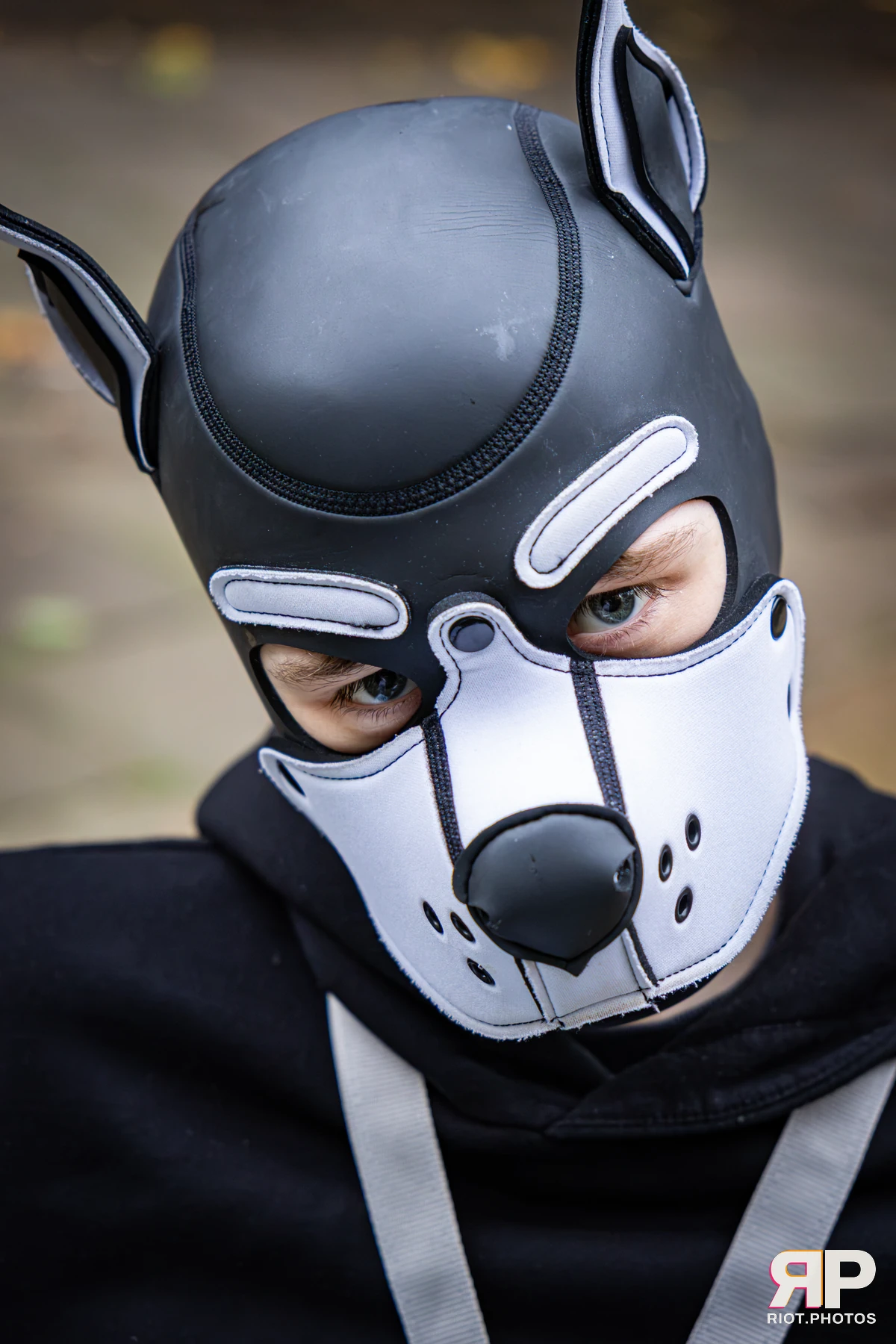 Doggy Weekend 2026 - 18 Oct 2026, Fluffy Riot photography - photo 589
