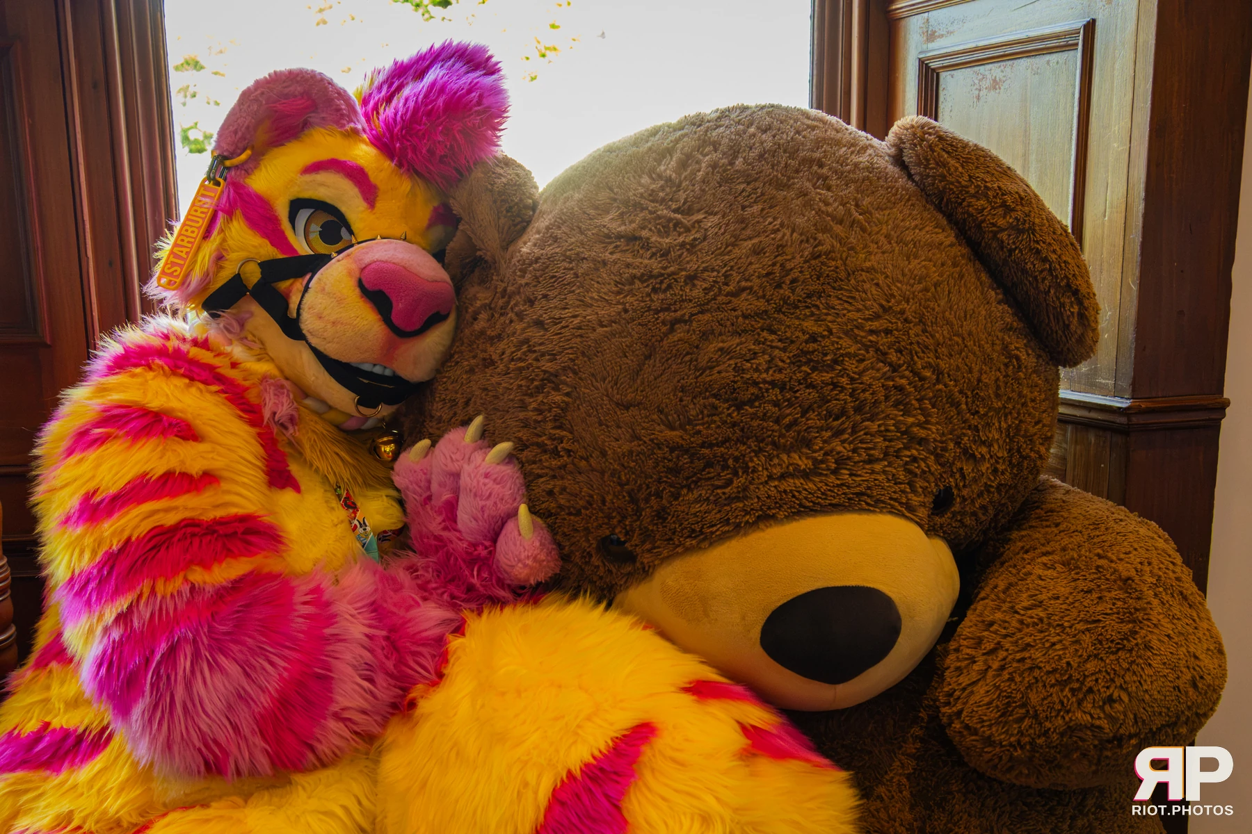 Starburst / Grumpy - furry & pup photography by Fluffy Riot - photo 61