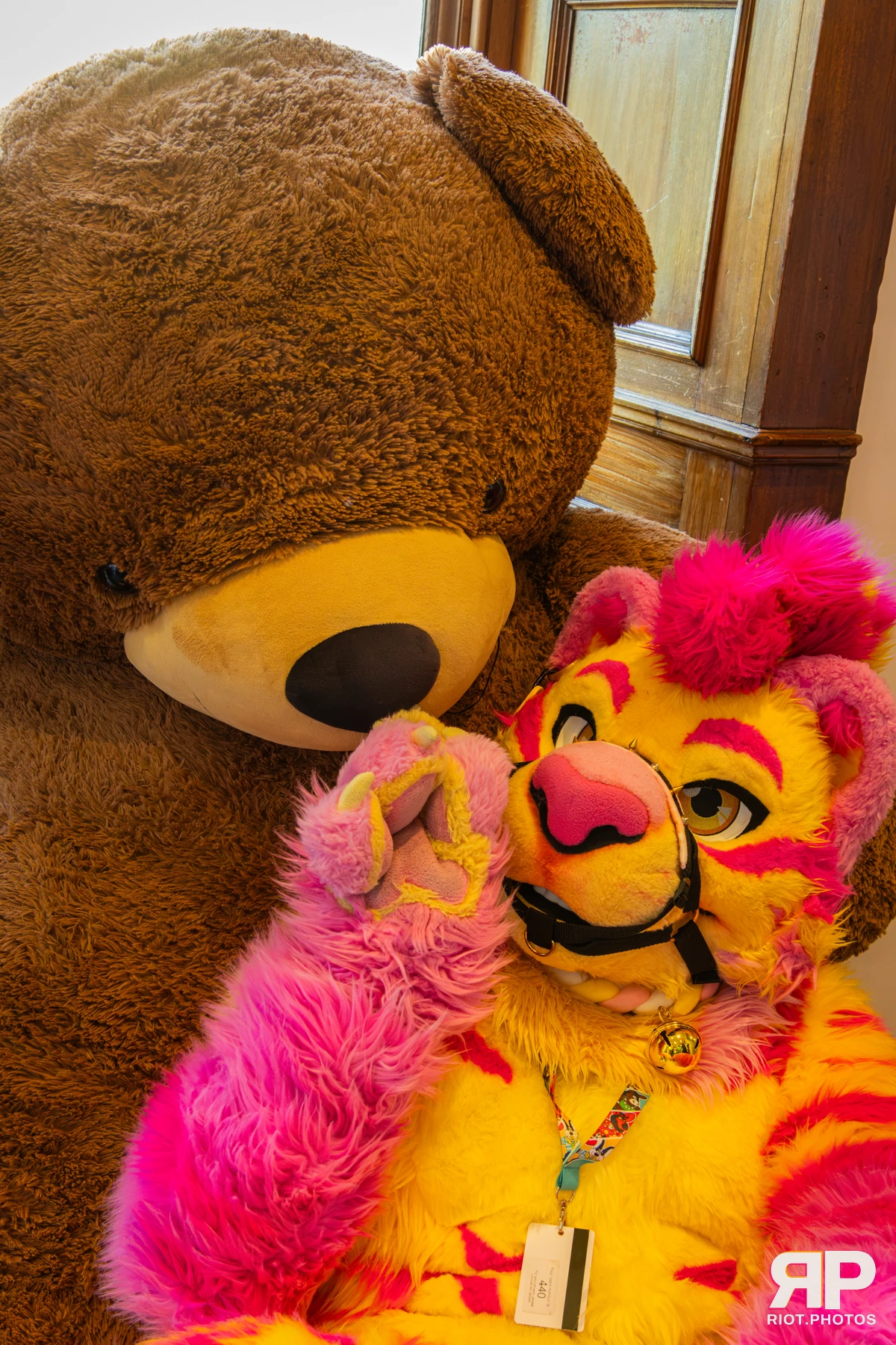 Starburst / Grumpy - furry & pup photography by Fluffy Riot - photo 60