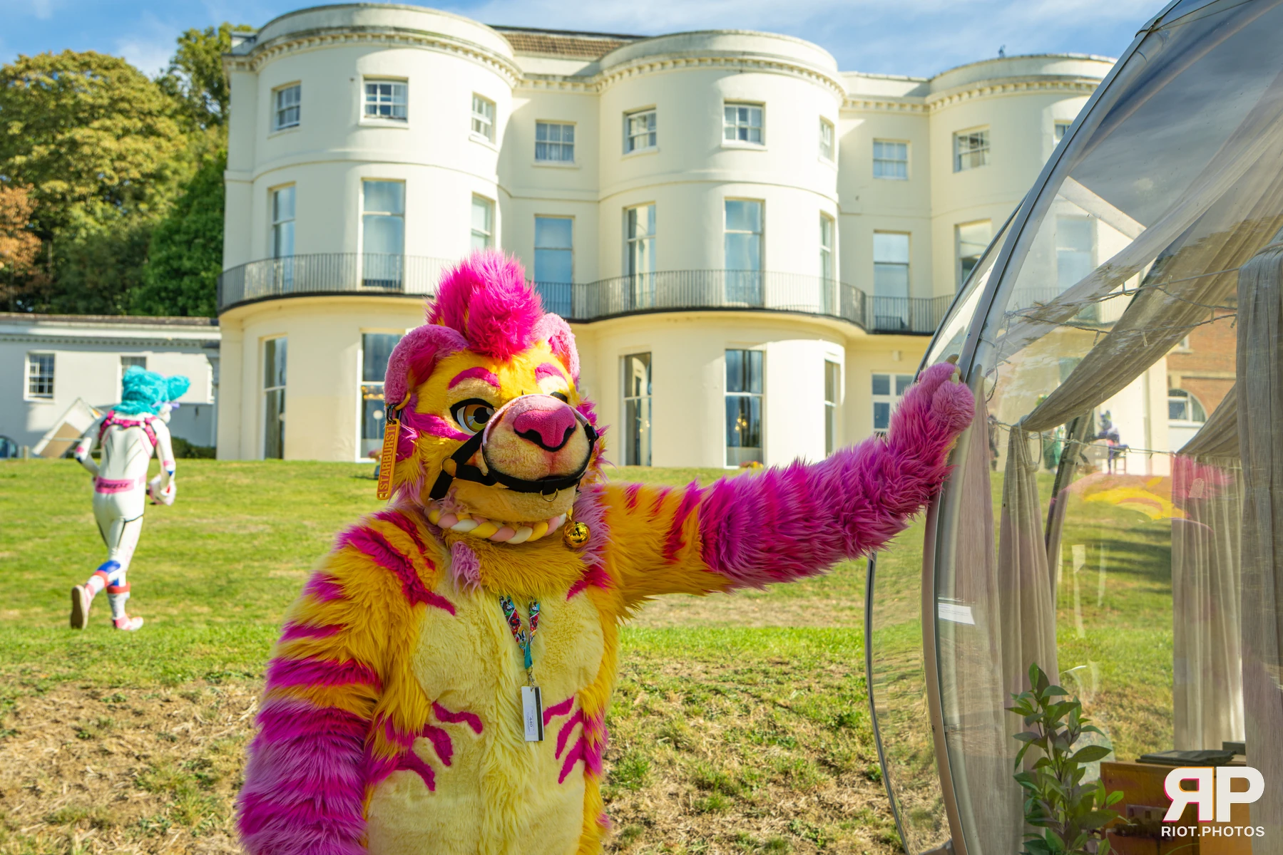 Starburst / Grumpy - furry & pup photography by Fluffy Riot - photo 46
