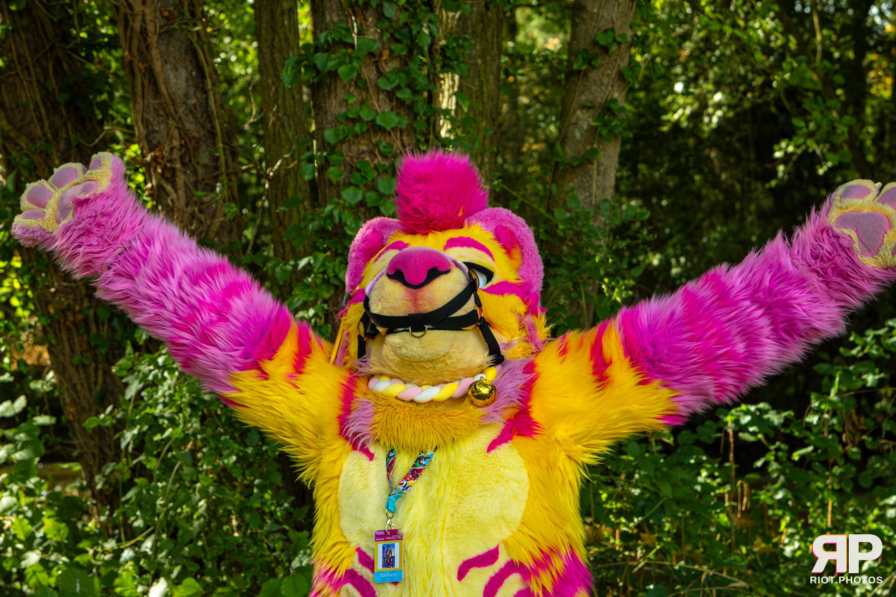 Starburst / Grumpy - furry & pup photography by Fluffy Riot - photo 39