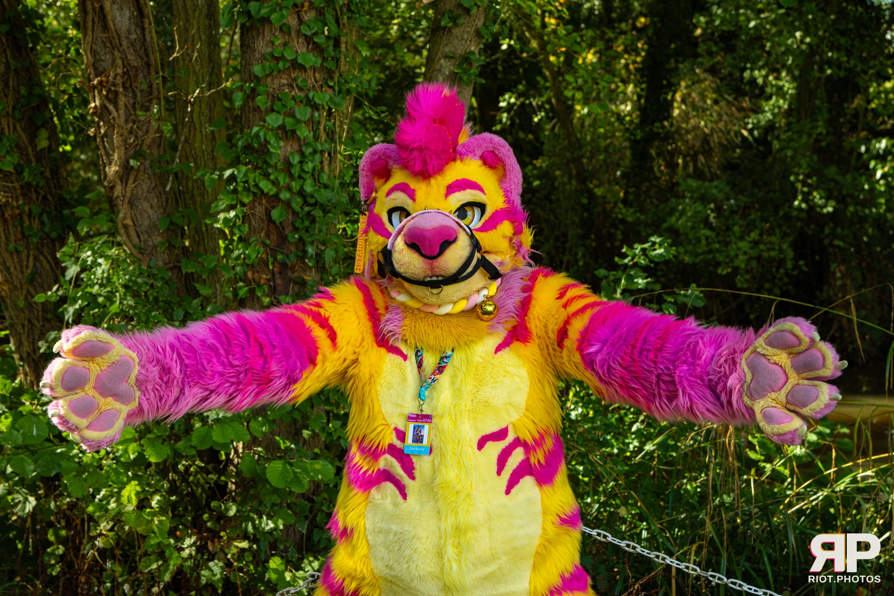 Starburst / Grumpy - furry & pup photography by Fluffy Riot - photo 38