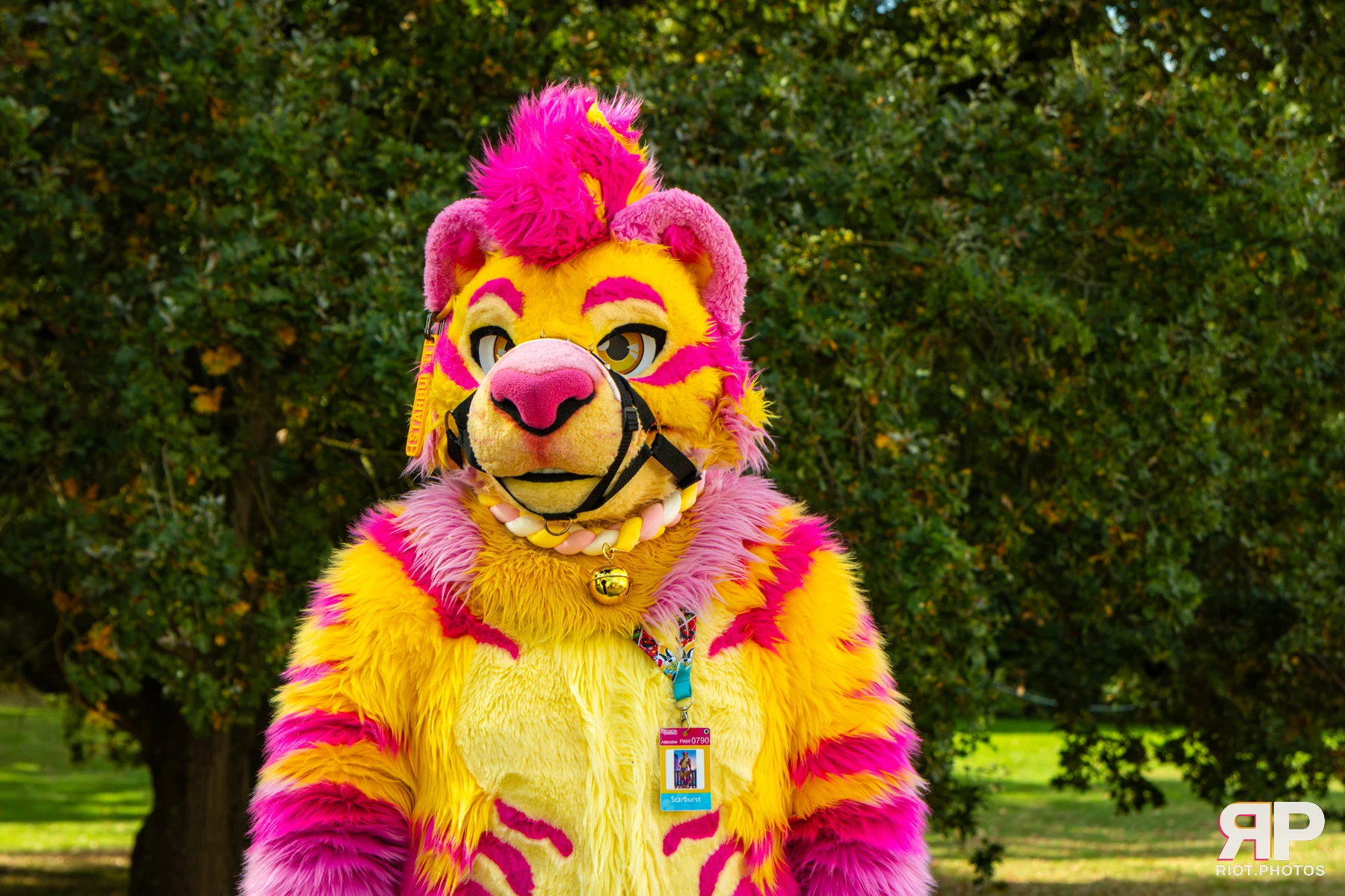 Starburst / Grumpy - furry & pup photography by Fluffy Riot - photo 30