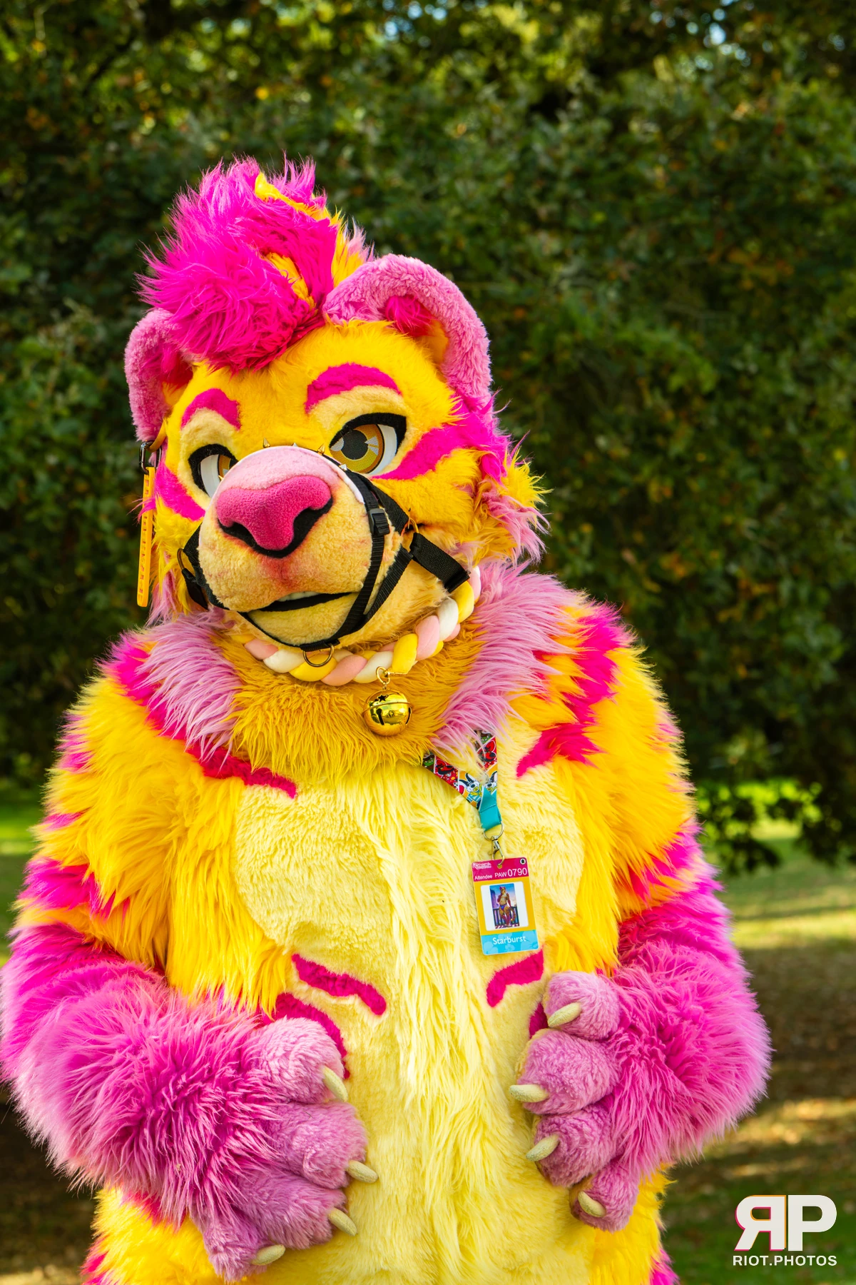 Starburst / Grumpy - furry & pup photography by Fluffy Riot - photo 29