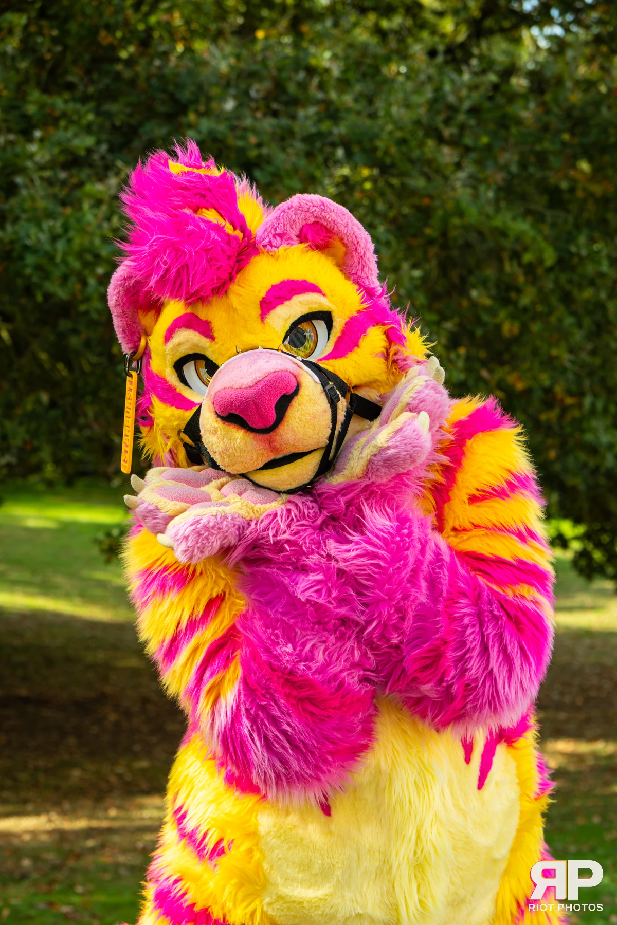 Starburst / Grumpy - furry & pup photography by Fluffy Riot - photo 28