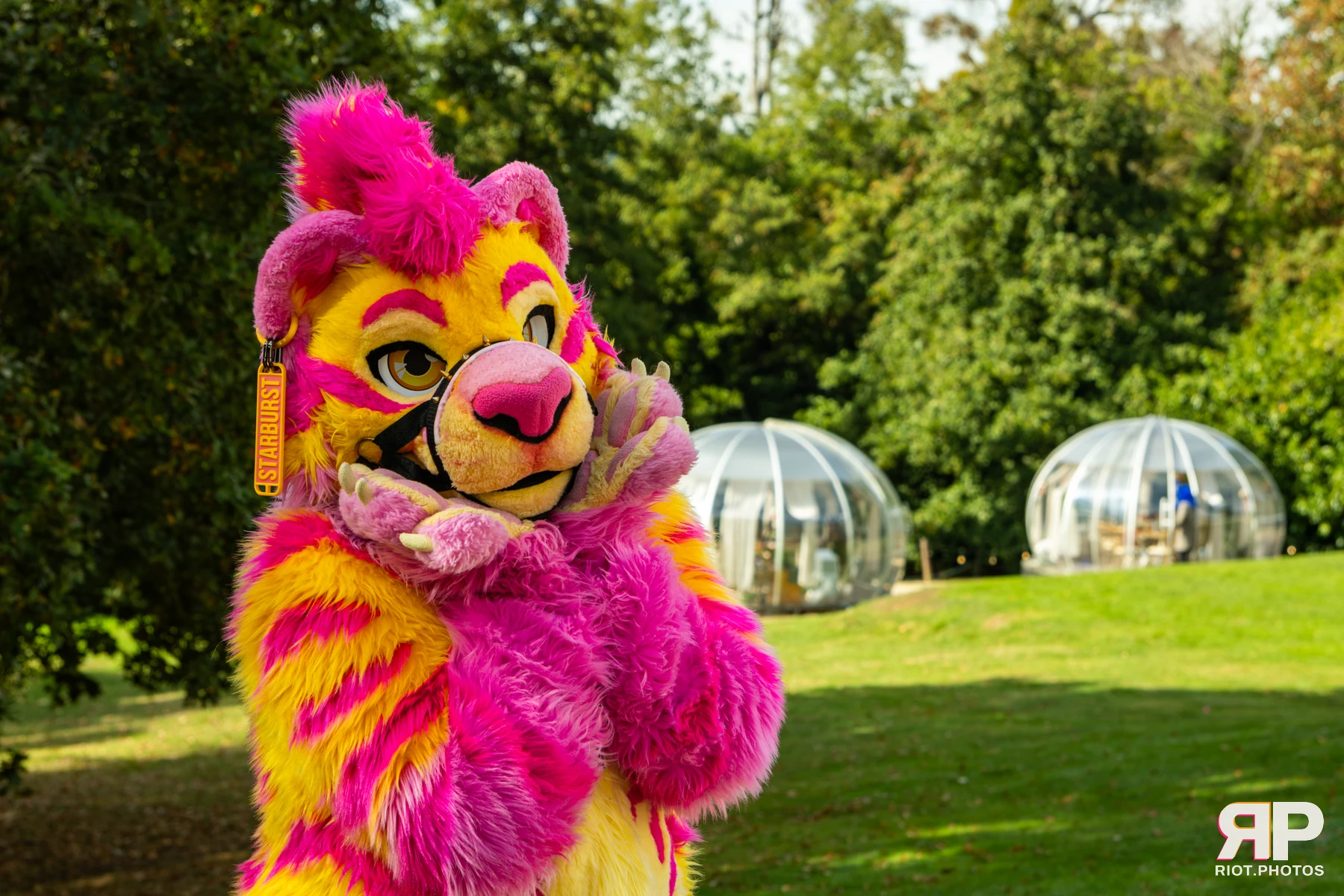 Starburst / Grumpy - furry & pup photography by Fluffy Riot - photo 25