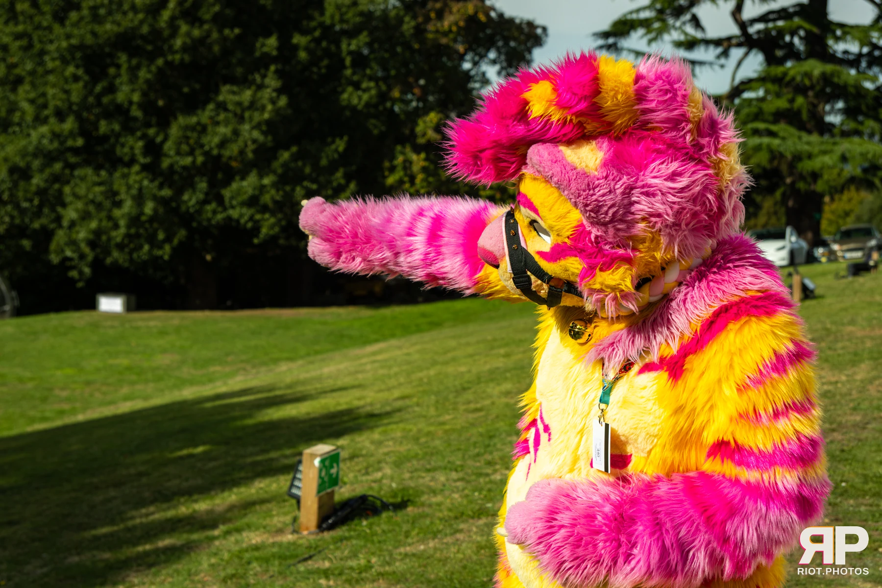Starburst / Grumpy - furry & pup photography by Fluffy Riot - photo 22
