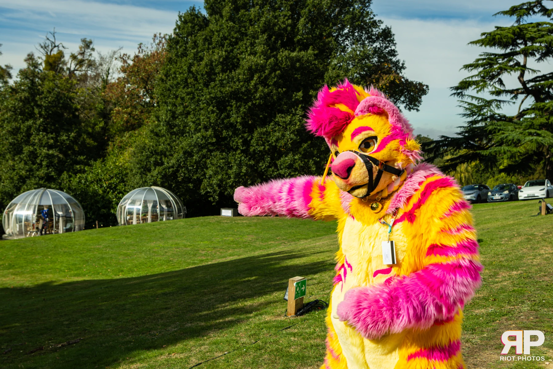 Starburst / Grumpy - furry & pup photography by Fluffy Riot - photo 21