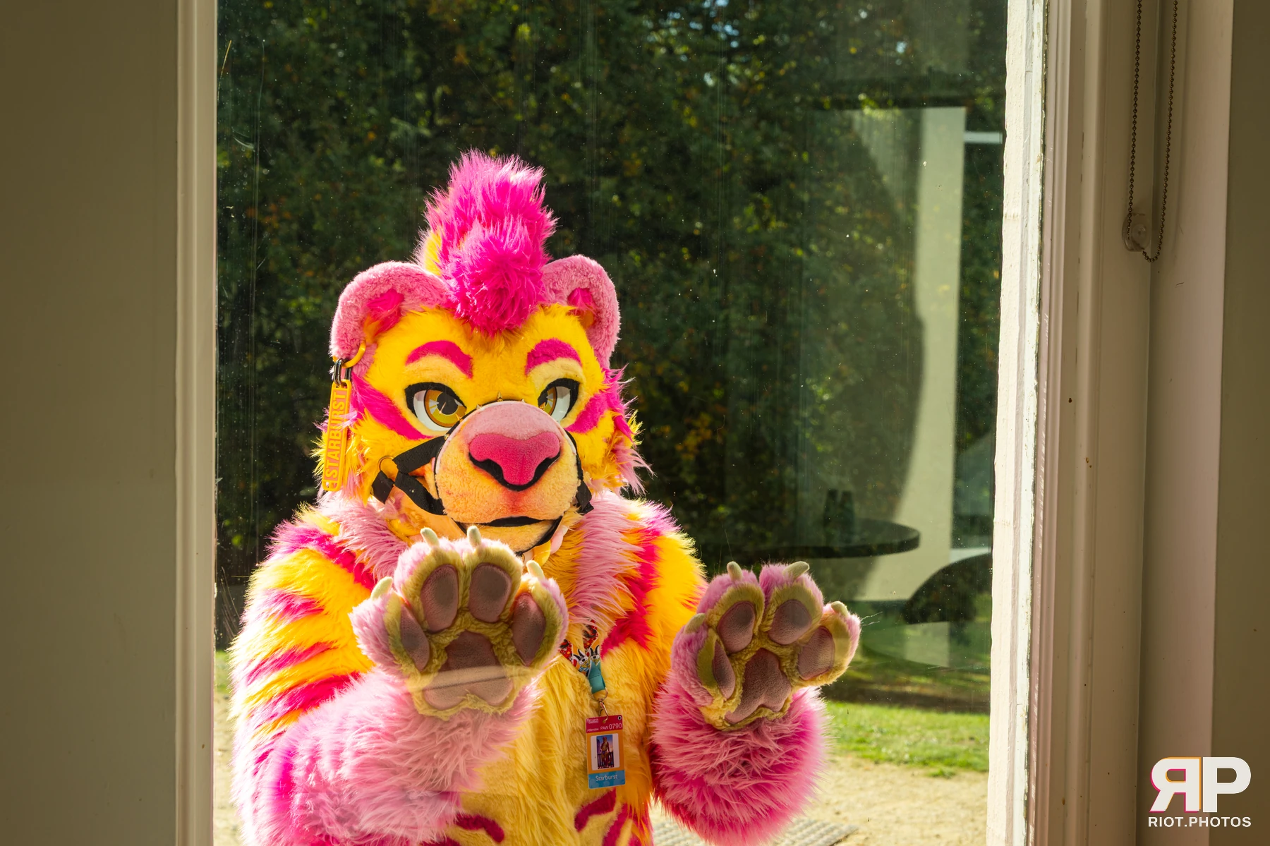 Starburst / Grumpy - furry & pup photography by Fluffy Riot - photo 19