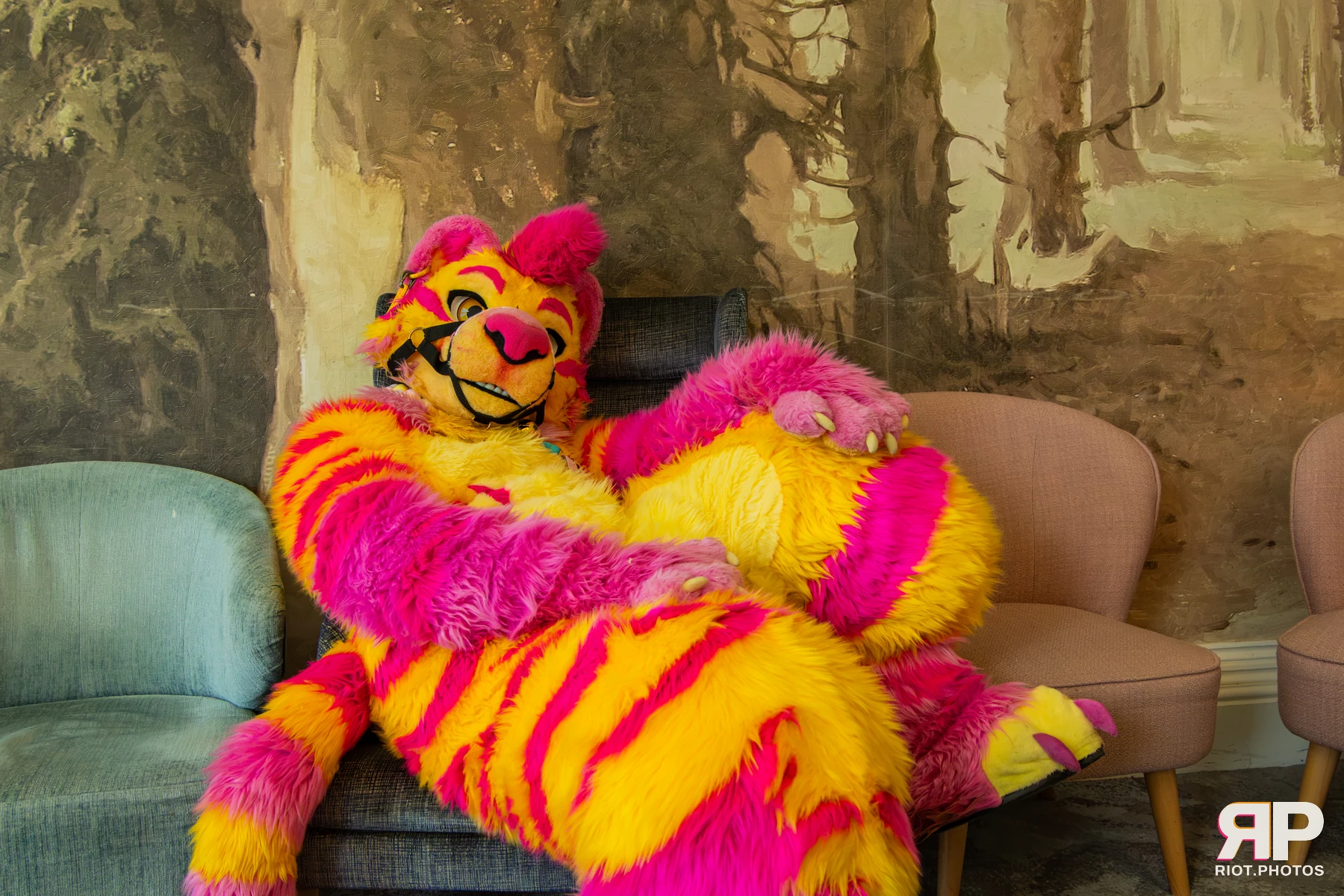 Starburst / Grumpy - furry & pup photography by Fluffy Riot - photo 13