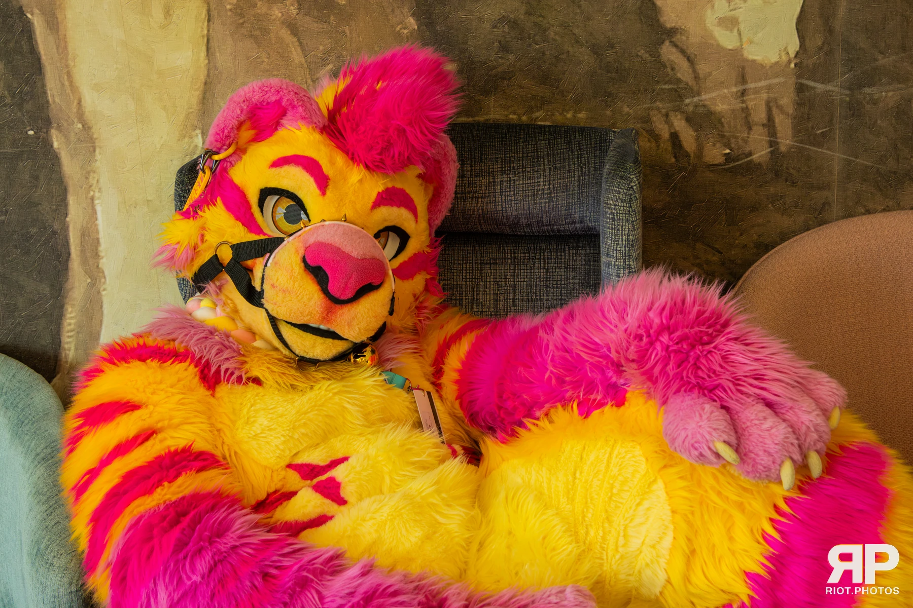 Starburst / Grumpy - furry & pup photography by Fluffy Riot - photo 12