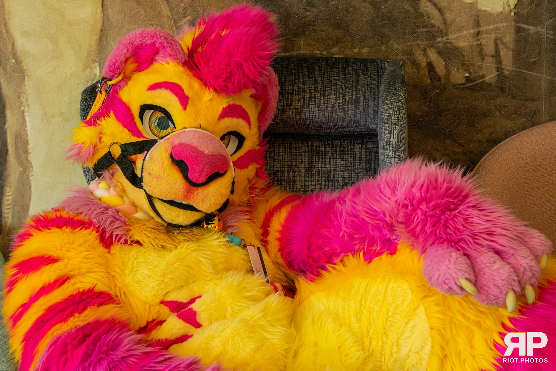 Starburst / Grumpy - furry & pup photography by Fluffy Riot - photo 11