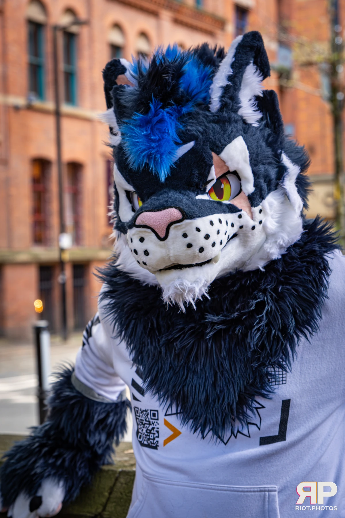 Stormy - furry & pup photography by Fluffy Riot - photo 20