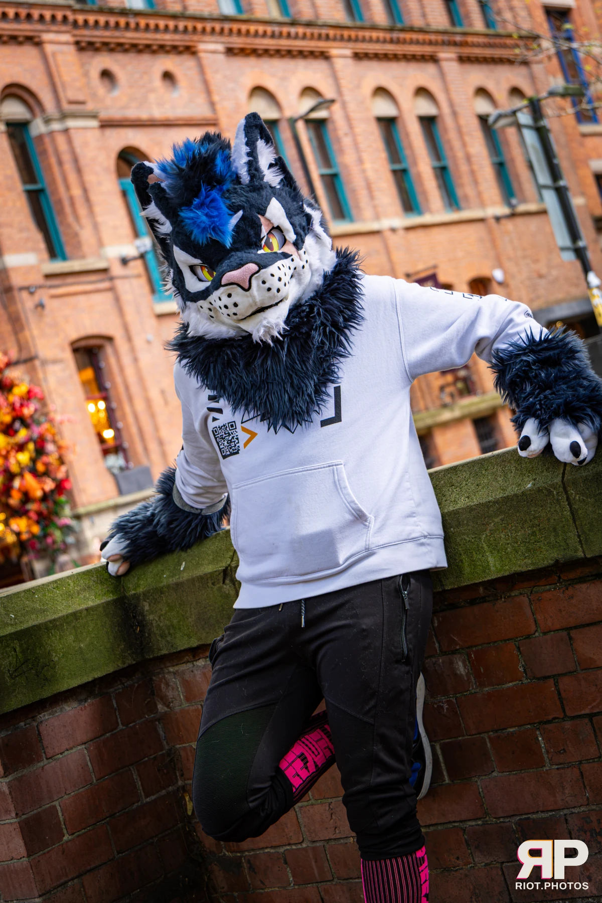 Stormy - furry & pup photography by Fluffy Riot - photo 19