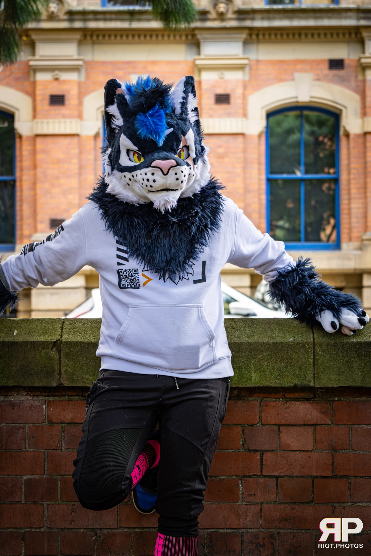 Stormy - furry & pup photography by Fluffy Riot - photo 18
