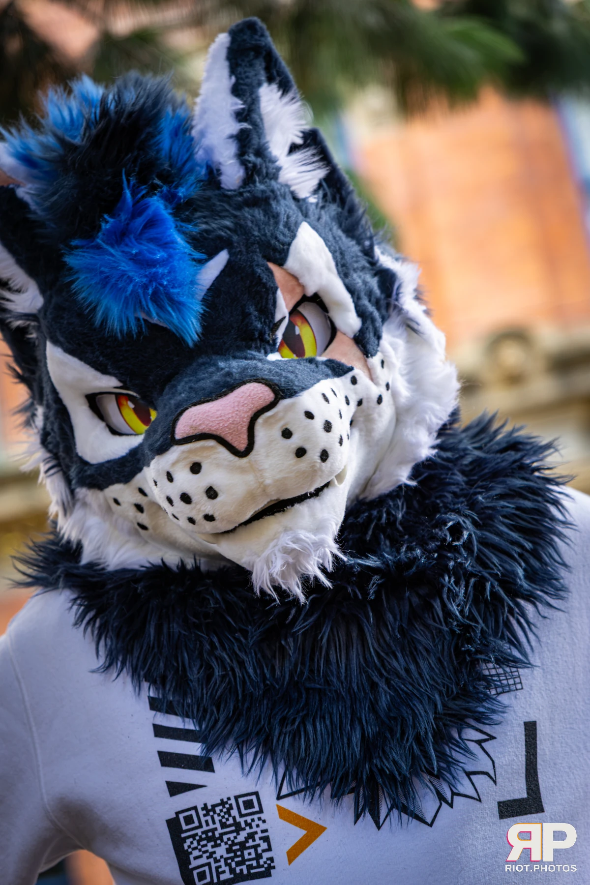 Stormy - furry & pup photography by Fluffy Riot - photo 17
