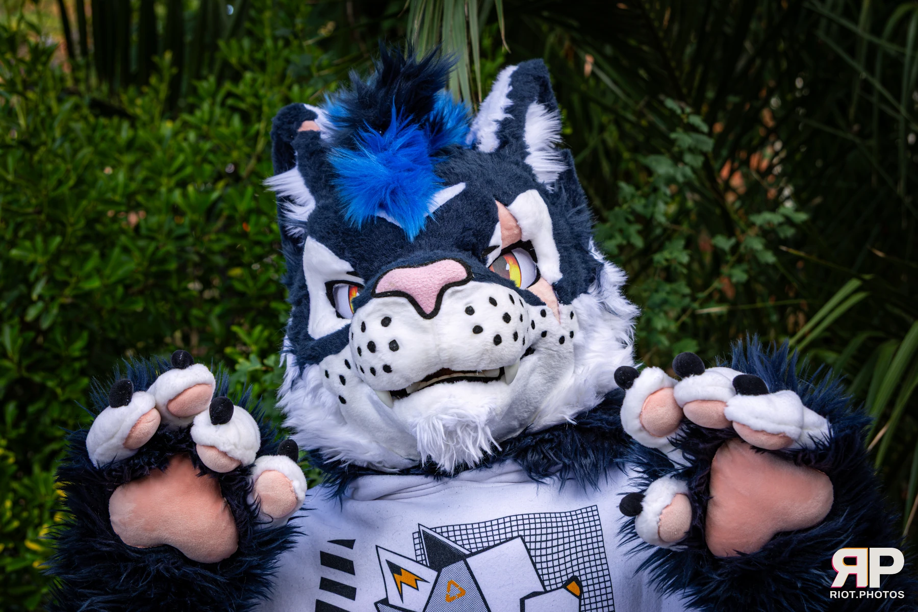 Stormy - furry & pup photography by Fluffy Riot - photo 16