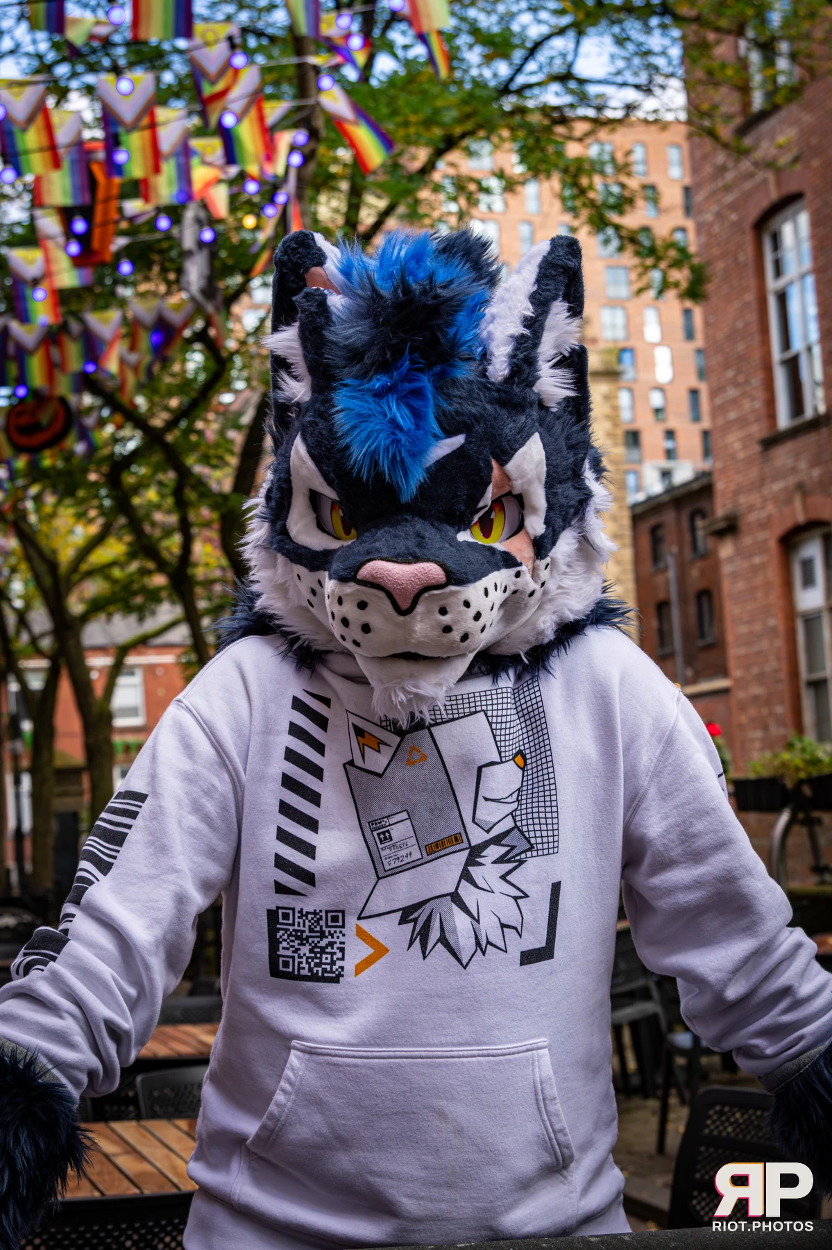 Stormy - furry & pup photography by Fluffy Riot - photo 15