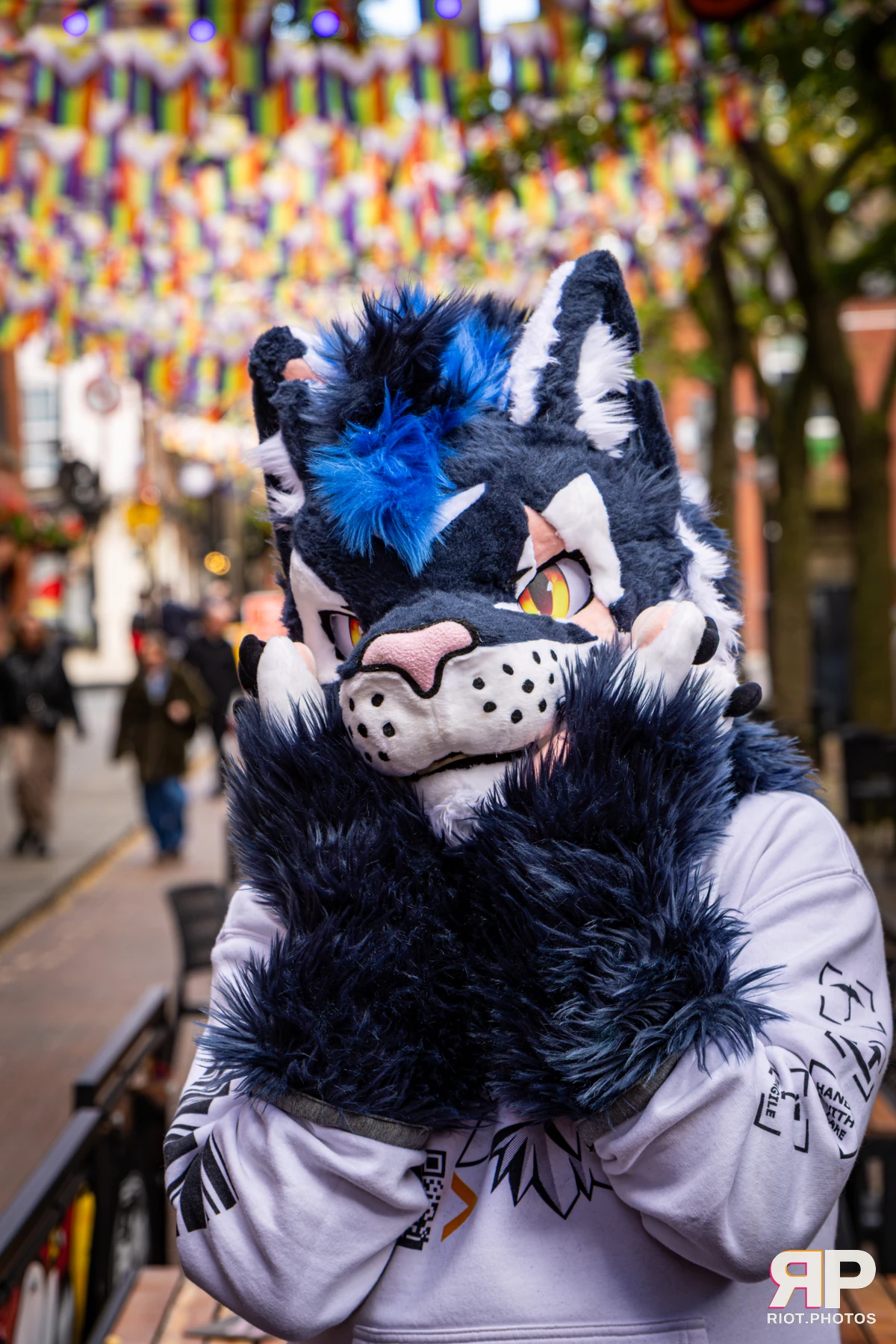Stormy - furry & pup photography by Fluffy Riot - photo 14