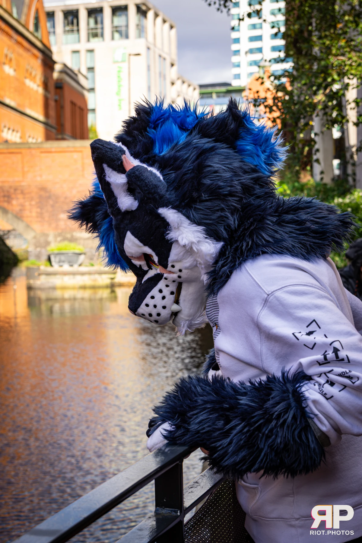 Stormy - furry & pup photography by Fluffy Riot - photo 12