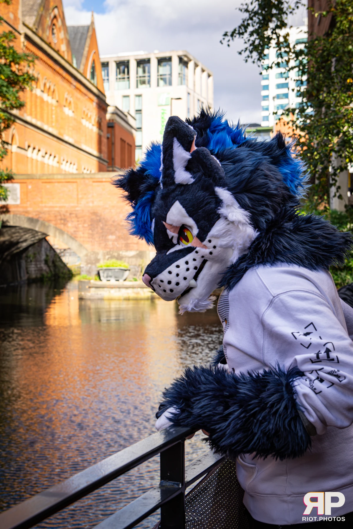 Stormy - furry & pup photography by Fluffy Riot - photo 11