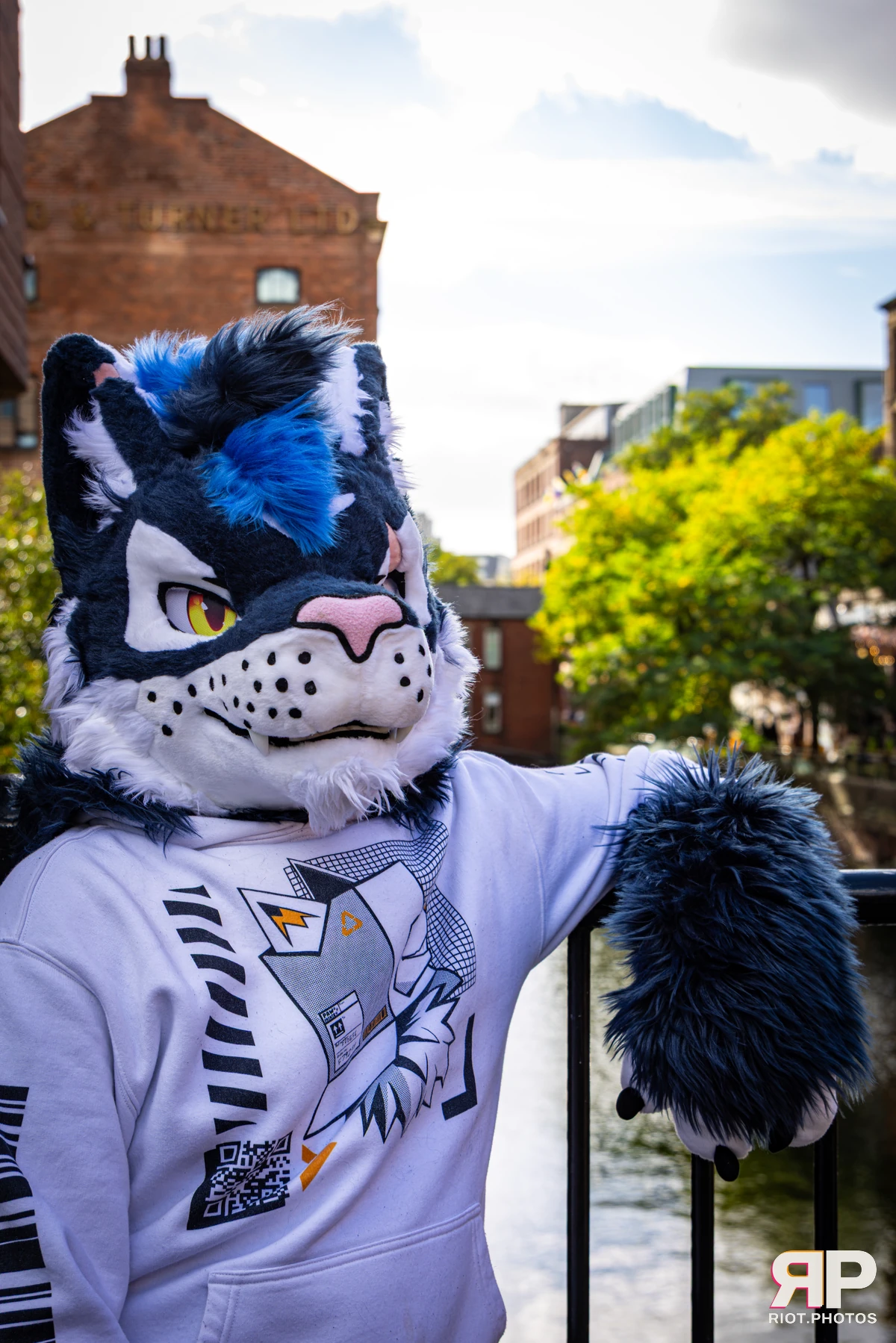 Stormy - furry & pup photography by Fluffy Riot - photo 10