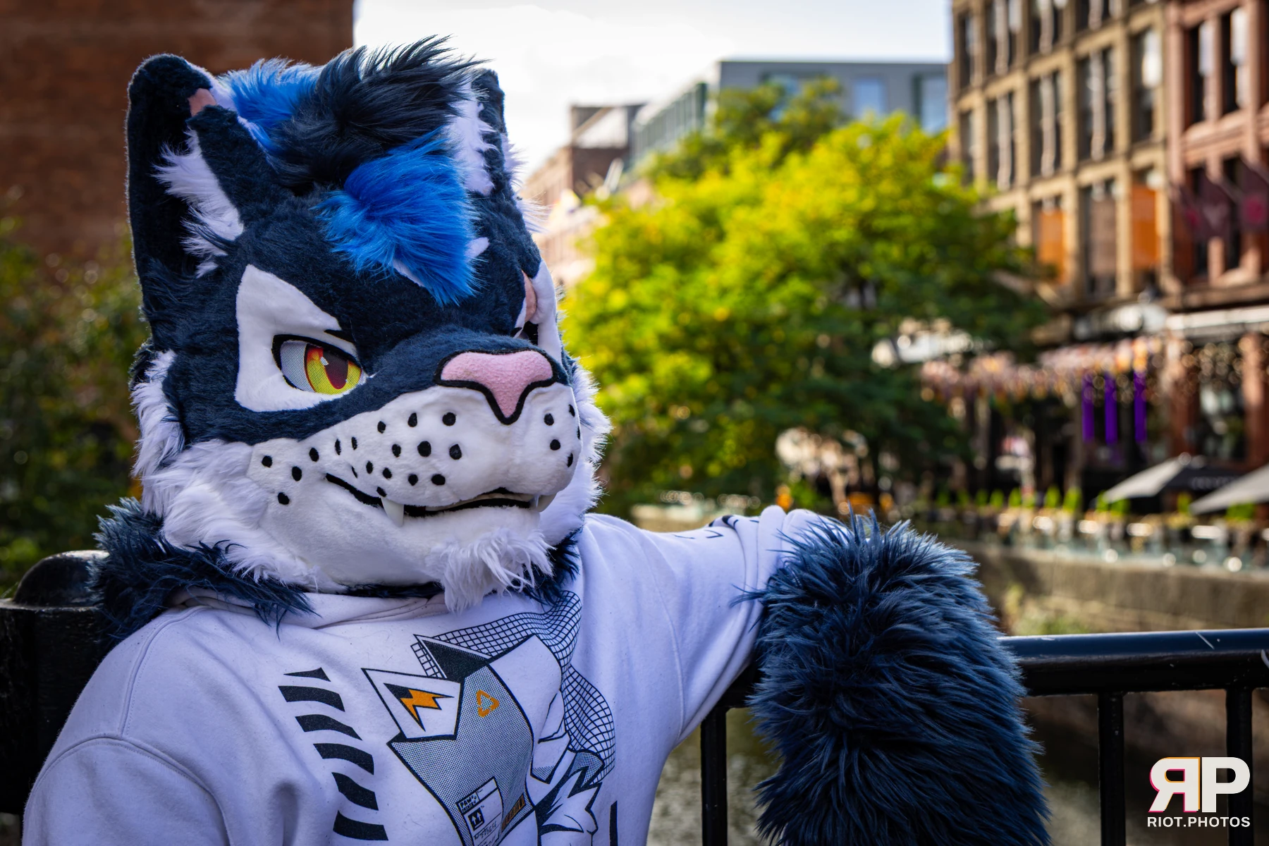 Stormy - furry & pup photography by Fluffy Riot - photo 9