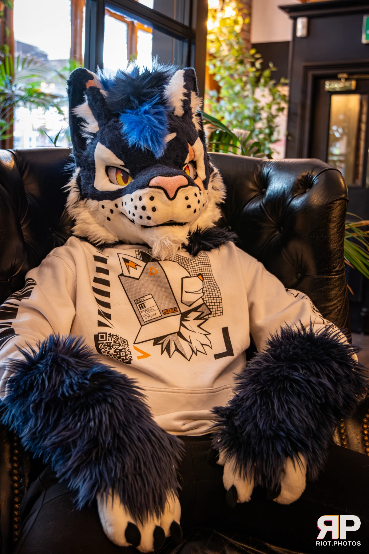 Stormy - furry & pup photography by Fluffy Riot - photo 8
