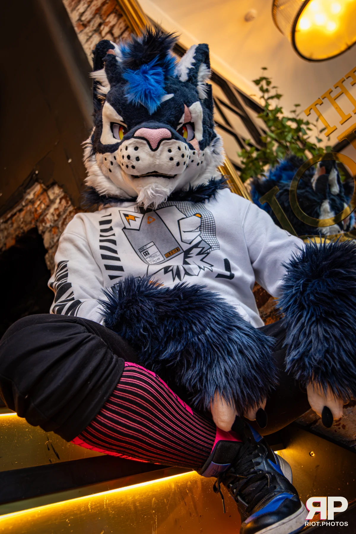 Stormy - furry & pup photography by Fluffy Riot - photo 5