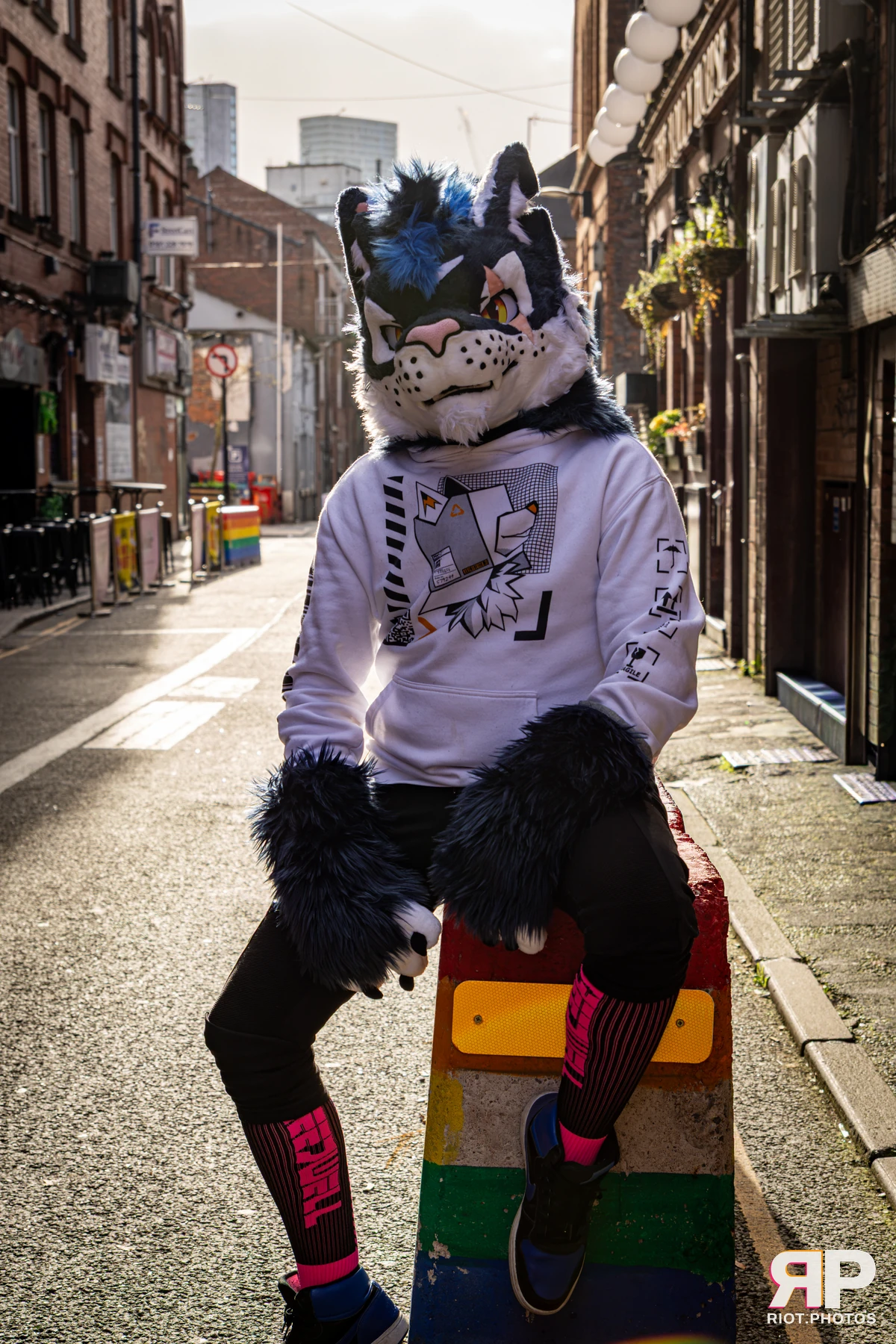 Stormy - furry & pup photography by Fluffy Riot - photo 1