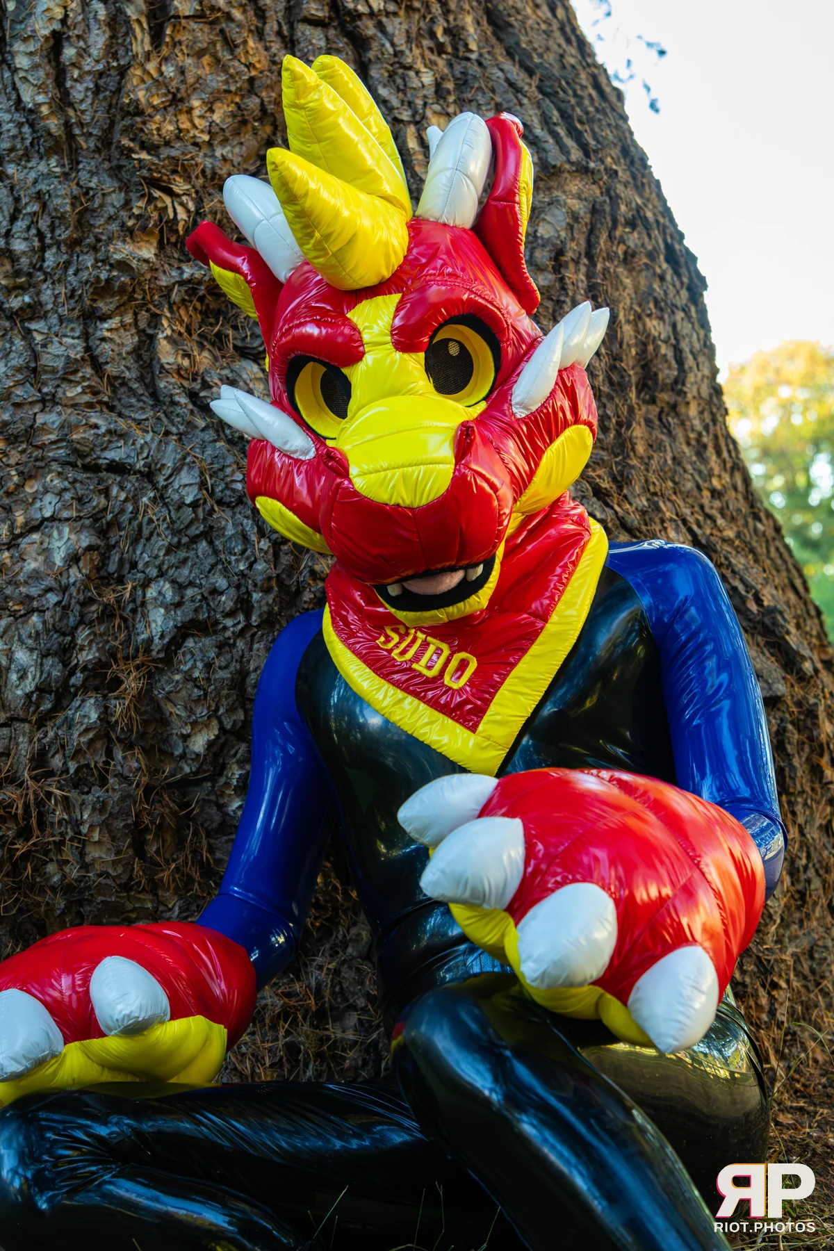 Sudo - furry & pup photography by Fluffy Riot - photo 5