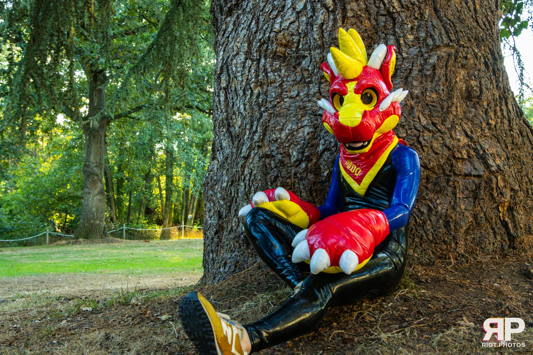 Sudo - furry & pup photography by Fluffy Riot - photo 4