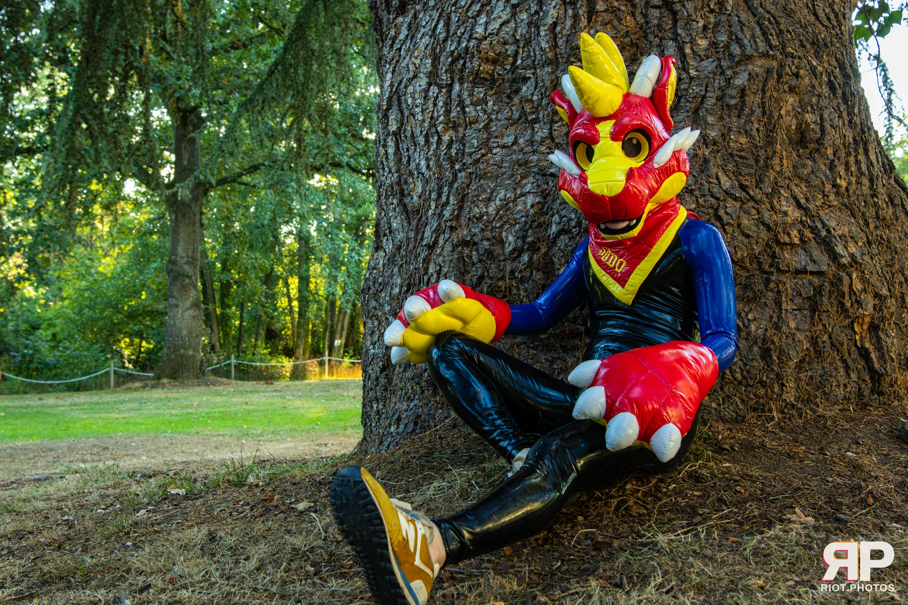 Sudo - furry & pup photography by Fluffy Riot - photo 3