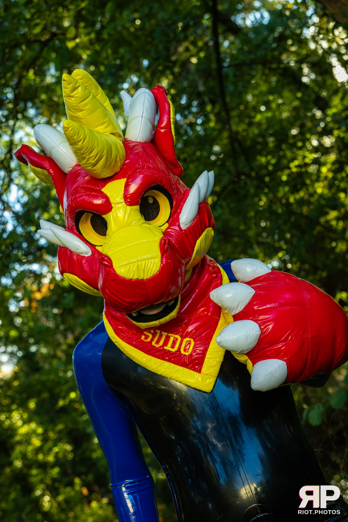 Sudo - furry & pup photography by Fluffy Riot - photo 2