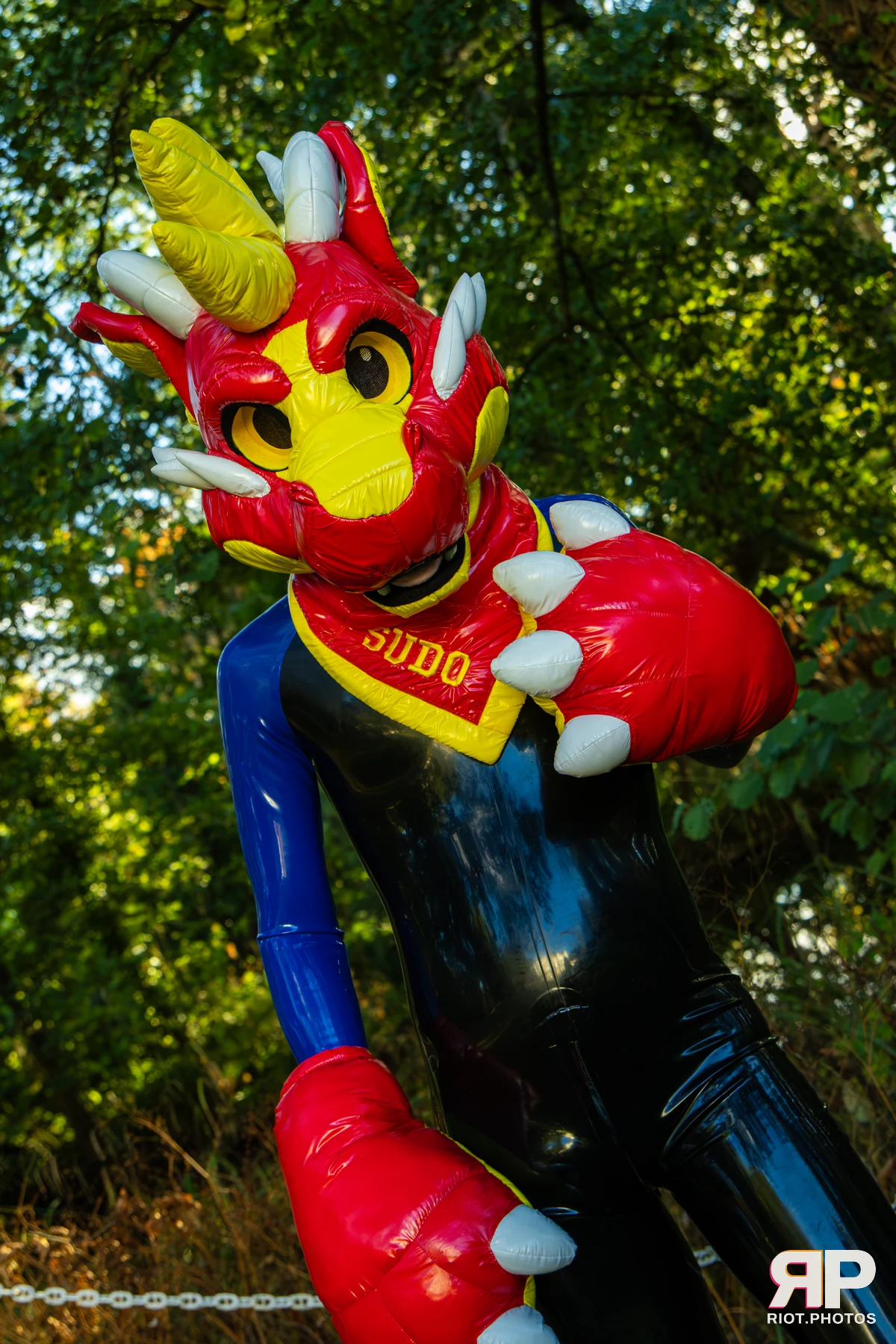 Sudo - furry & pup photography by Fluffy Riot - photo 1
