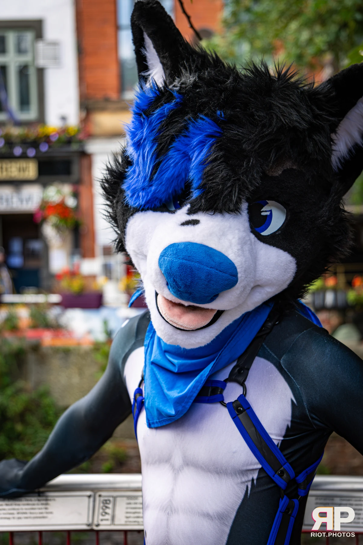 Tei - furry & pup photography by Fluffy Riot - photo 22