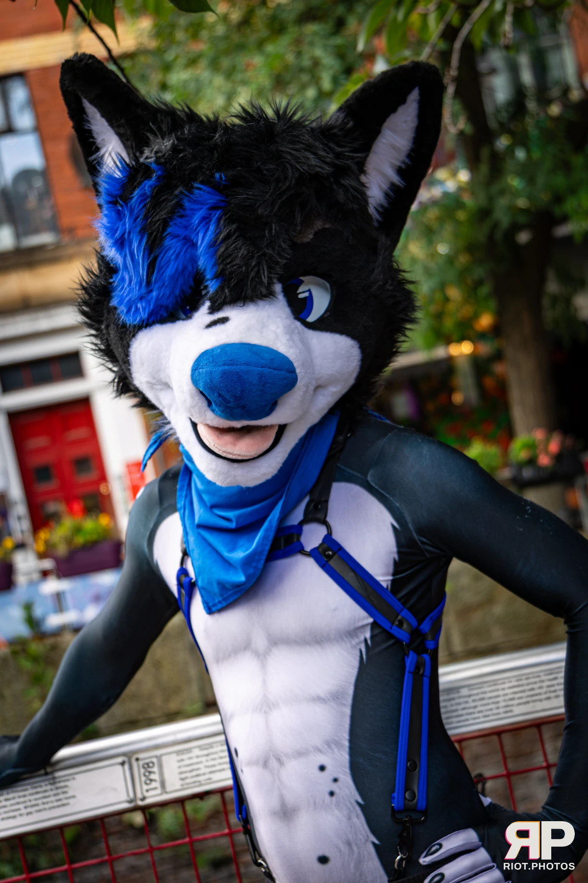 Tei - furry & pup photography by Fluffy Riot - photo 21