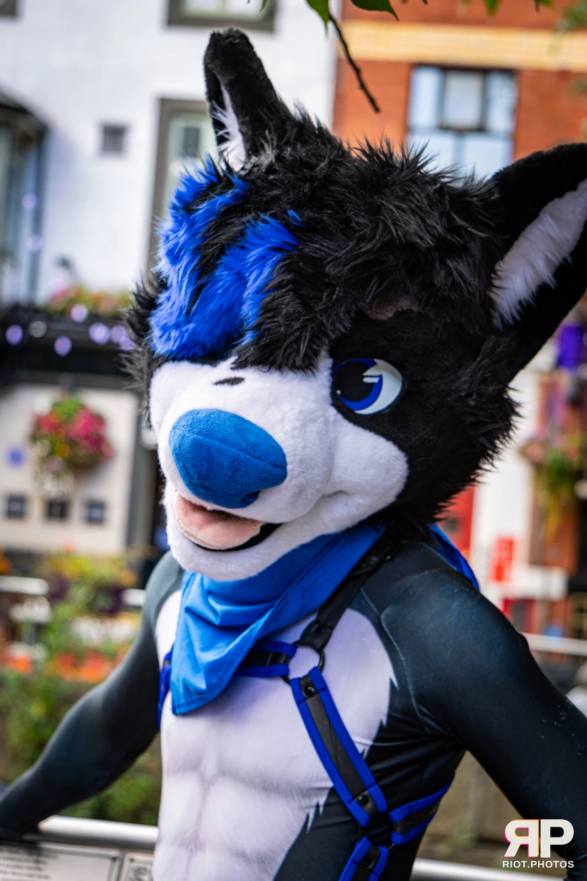 Tei - furry & pup photography by Fluffy Riot - photo 20