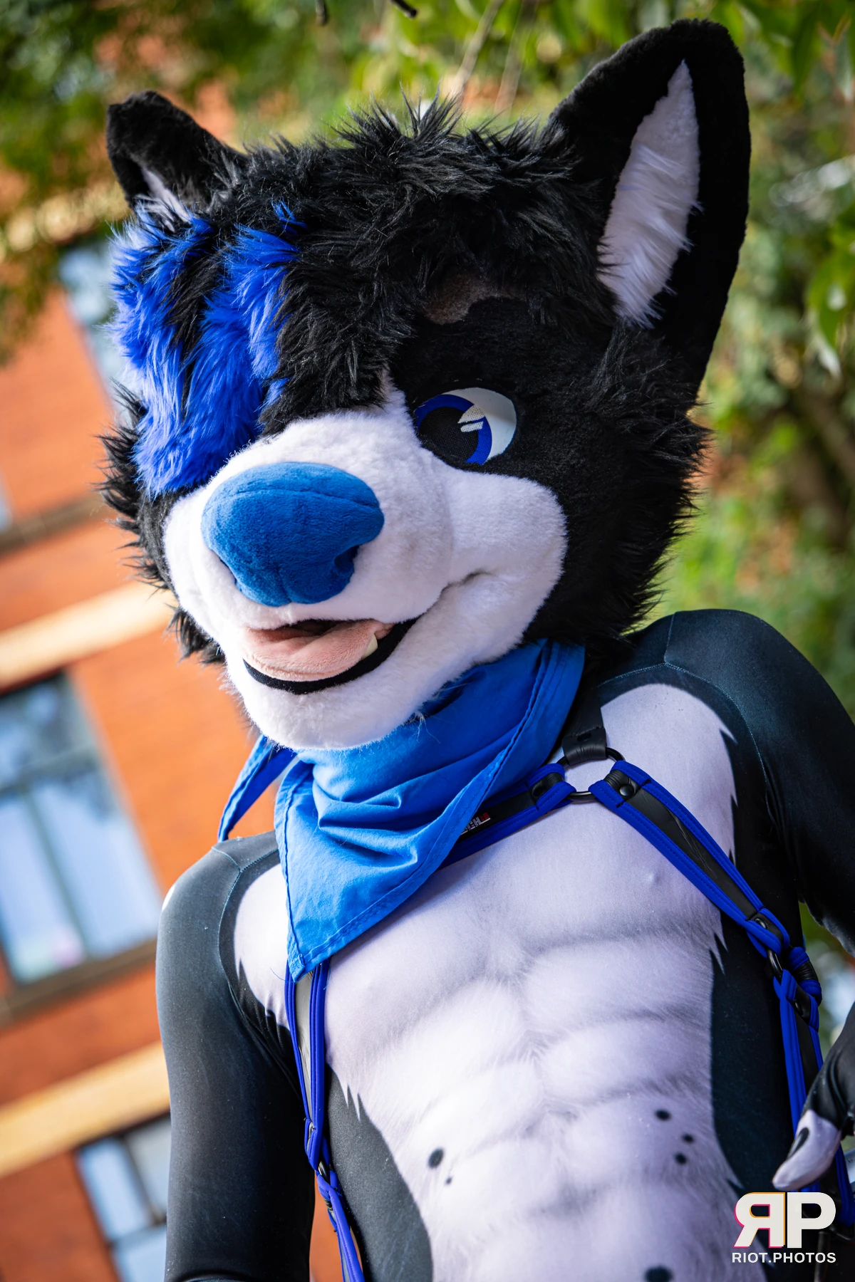 Tei - furry & pup photography by Fluffy Riot - photo 18