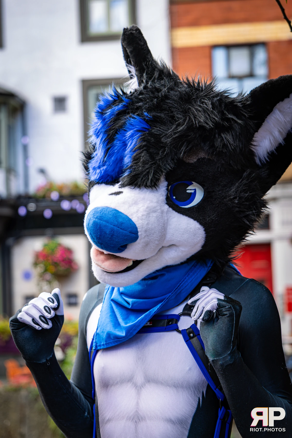Tei - furry & pup photography by Fluffy Riot - photo 17