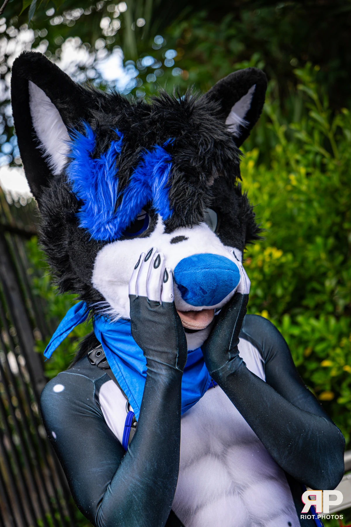 Tei - furry & pup photography by Fluffy Riot - photo 16