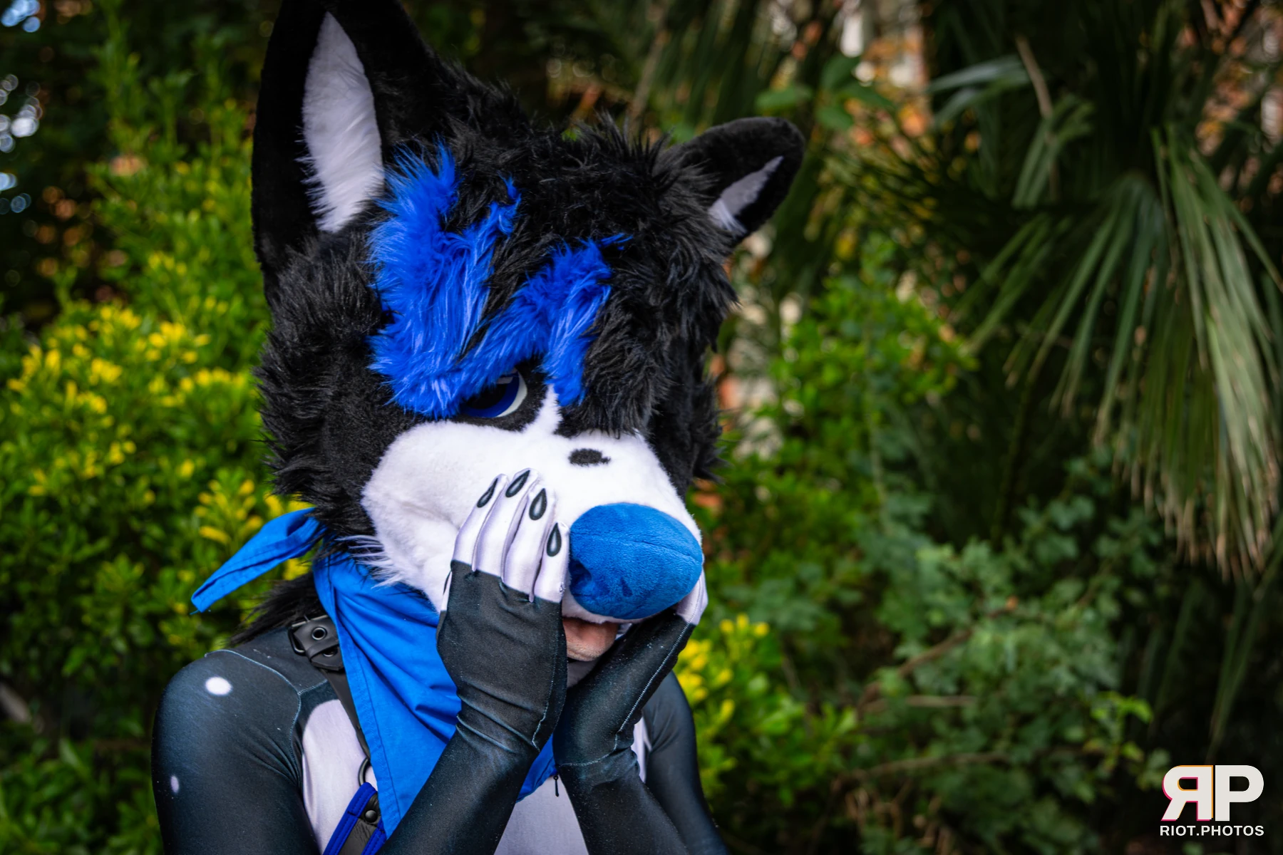Tei - furry & pup photography by Fluffy Riot - photo 15
