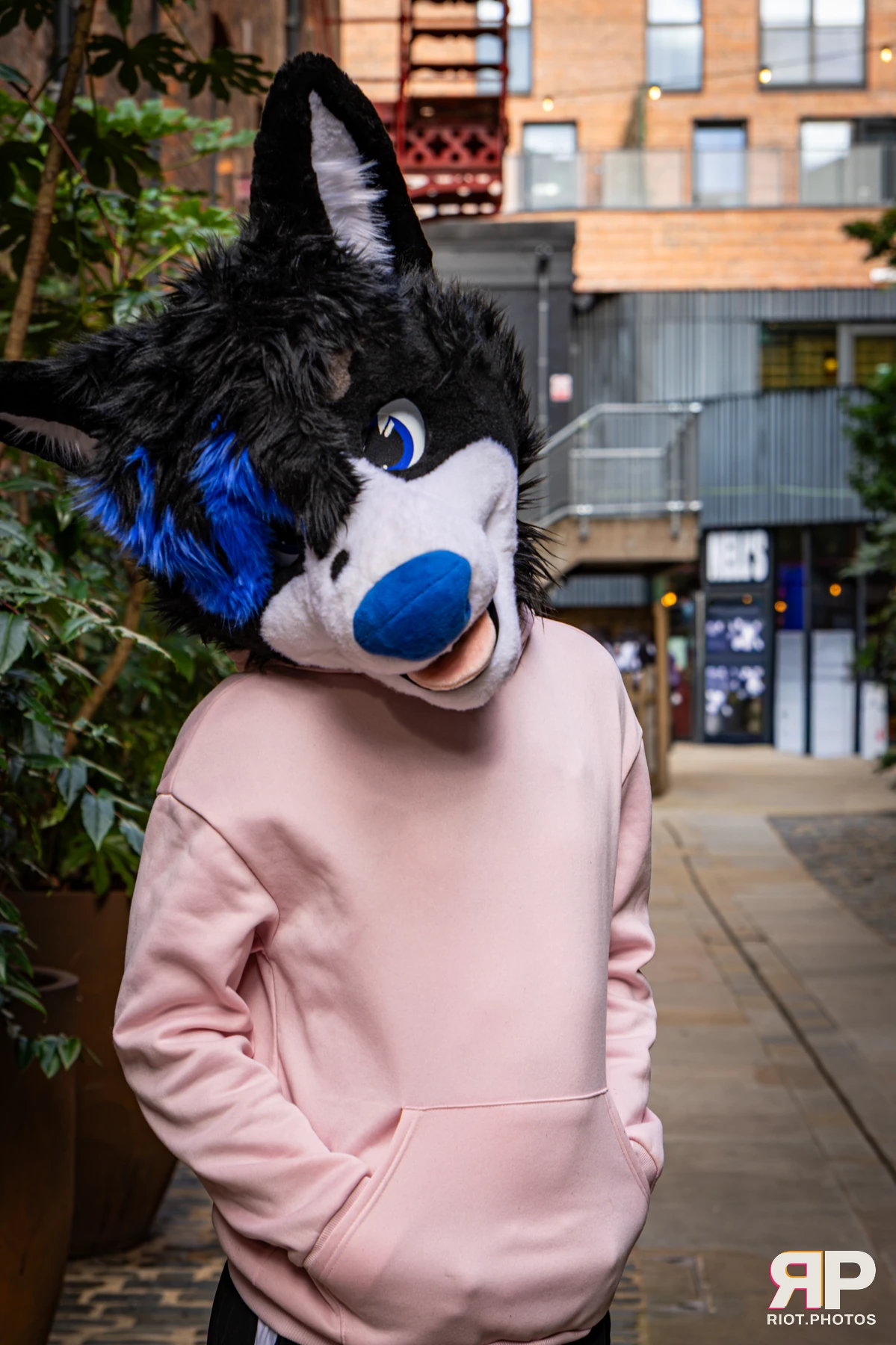 Tei - furry & pup photography by Fluffy Riot - photo 14