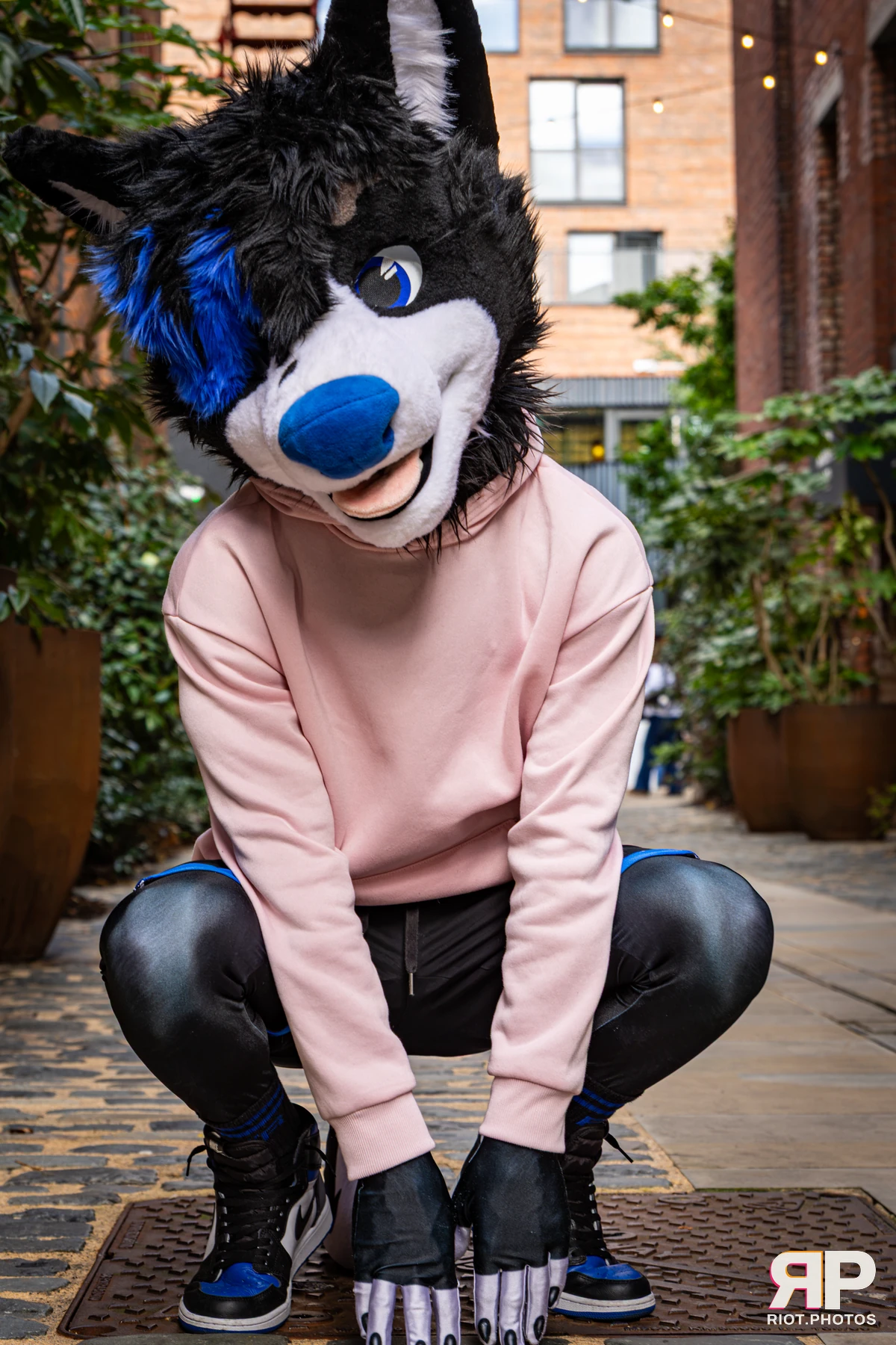 Tei - furry & pup photography by Fluffy Riot - photo 13