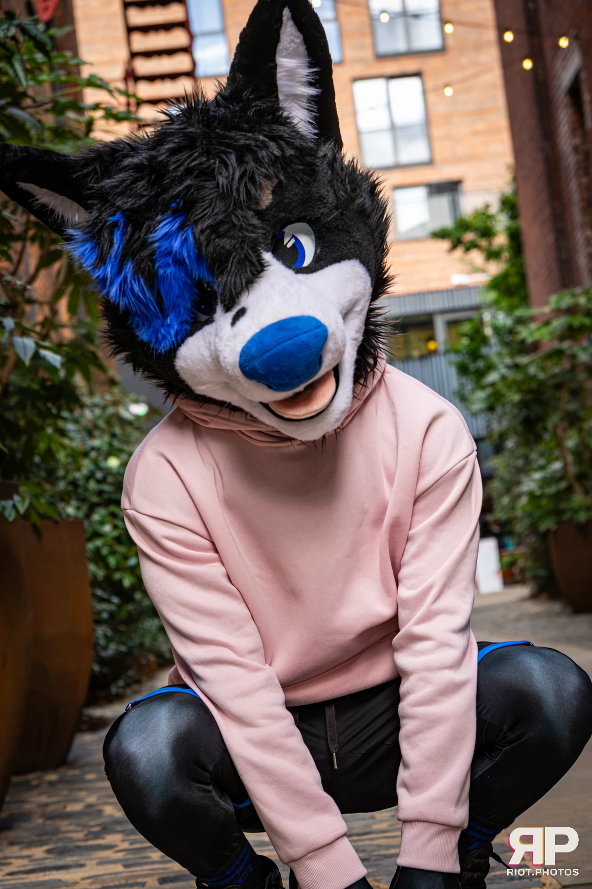 Tei - furry & pup photography by Fluffy Riot - photo 12