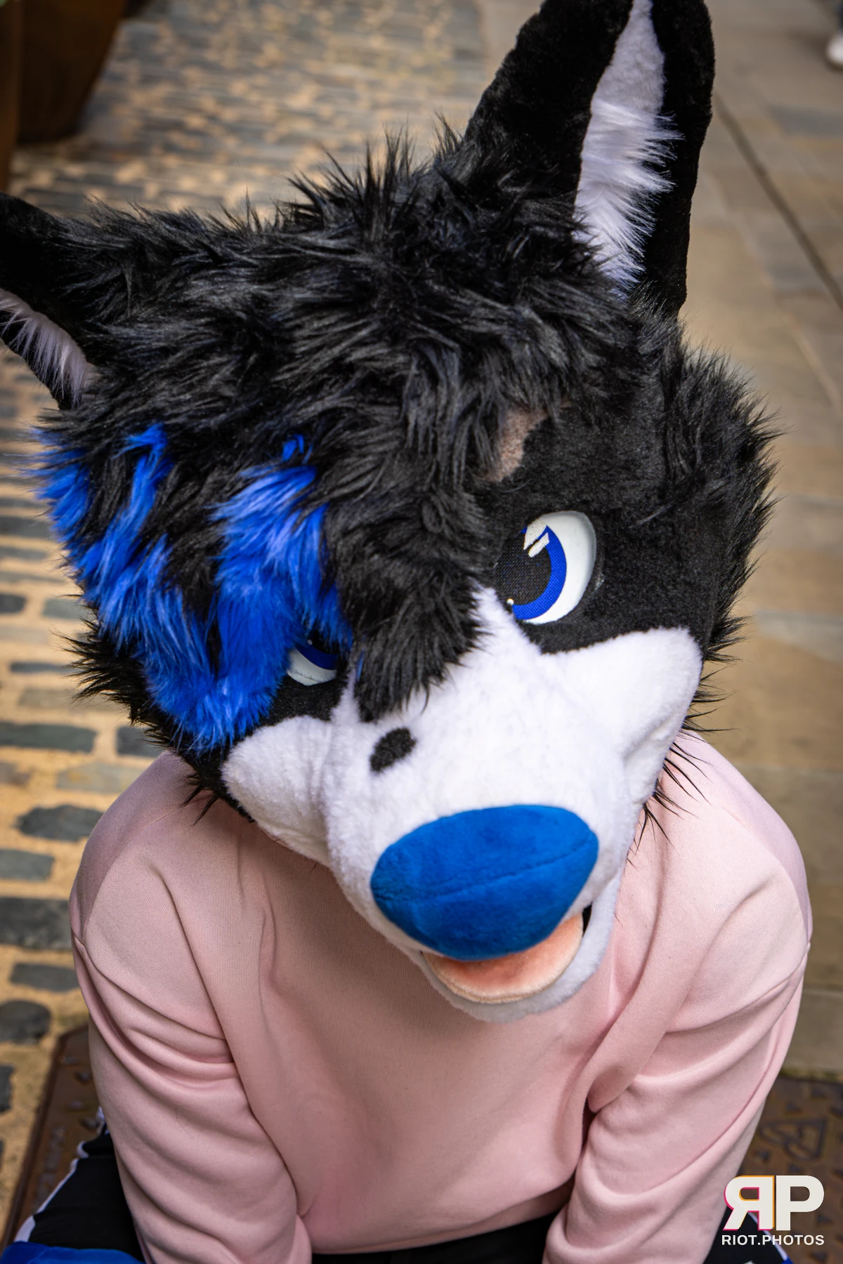 Tei - furry & pup photography by Fluffy Riot - photo 11