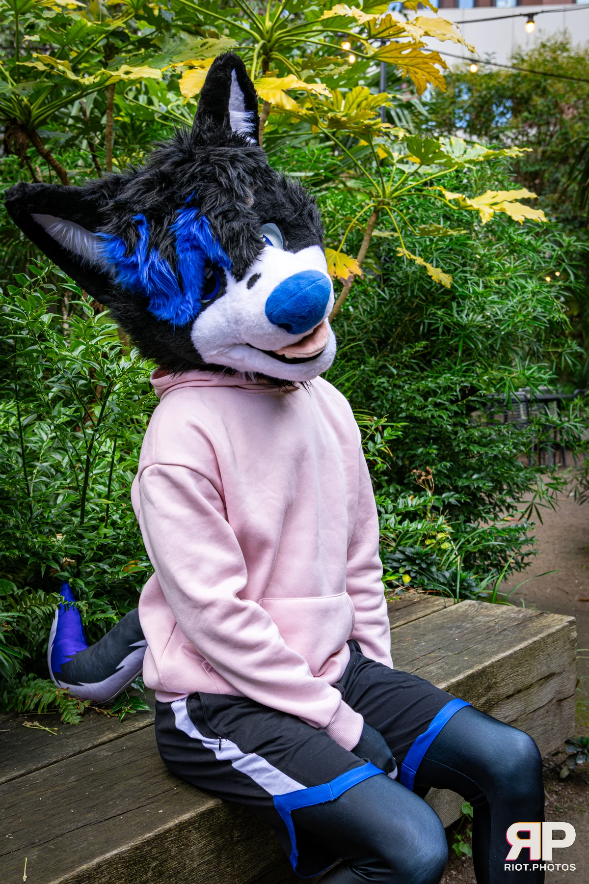 Tei - furry & pup photography by Fluffy Riot - photo 10