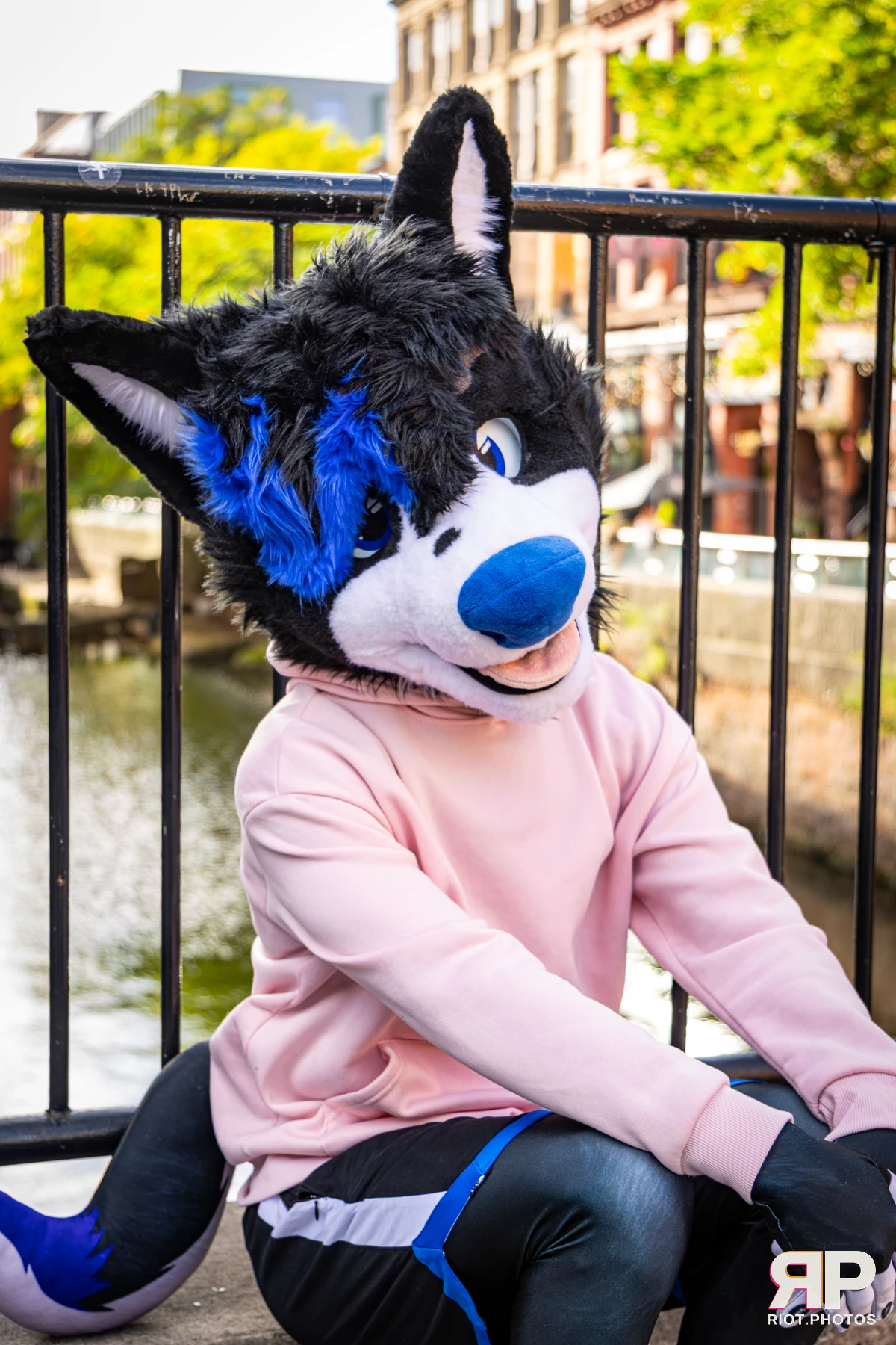 Tei - furry & pup photography by Fluffy Riot - photo 9