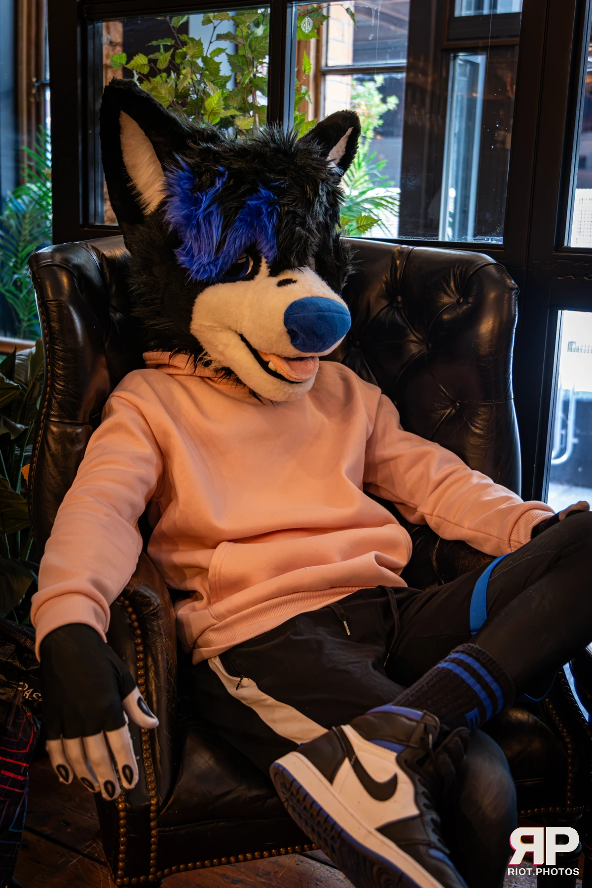 Tei - furry & pup photography by Fluffy Riot - photo 8